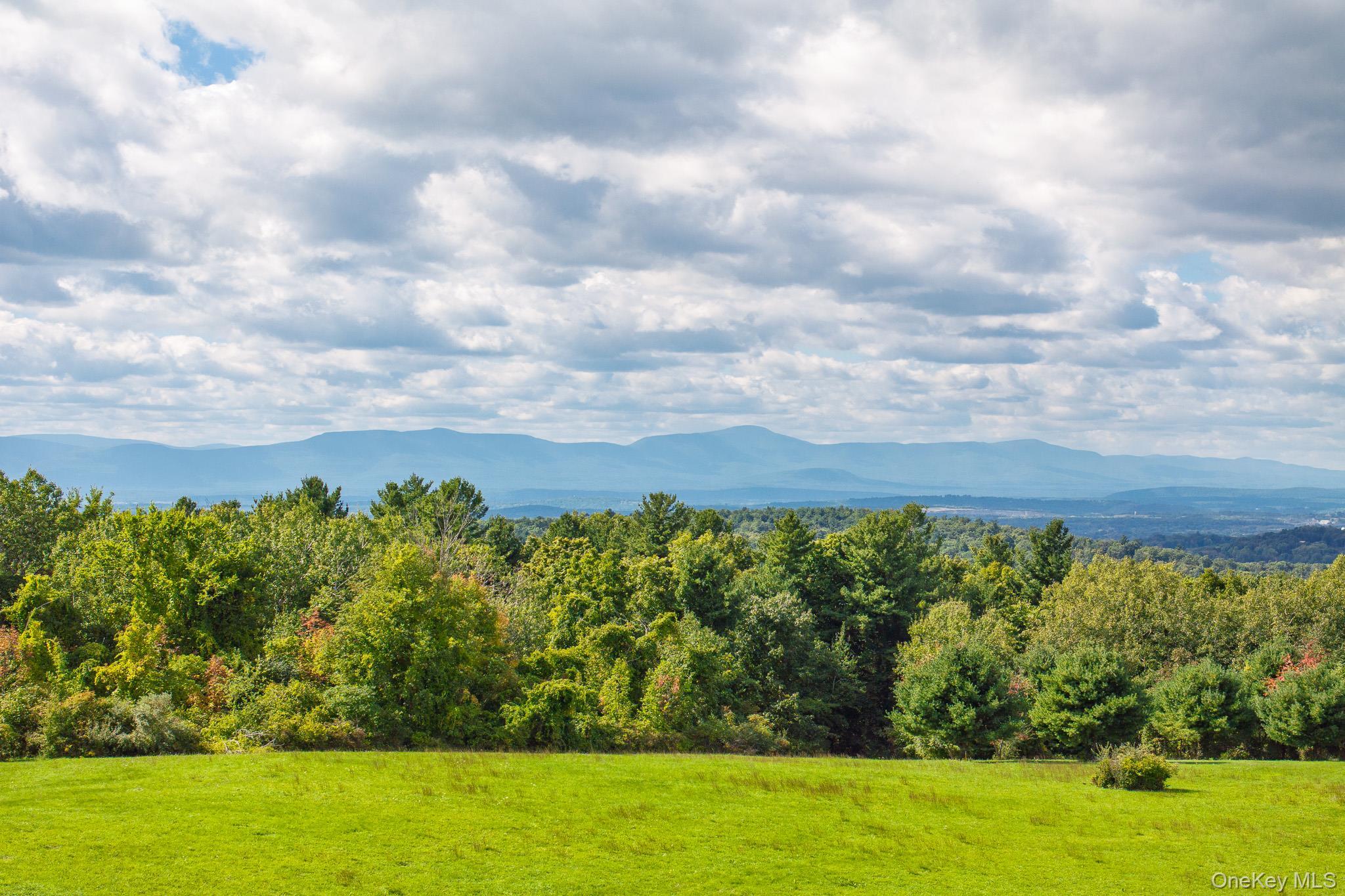 Single Family Palmer Road Extension Columbia County, NY 12521, MLS-1056045-3