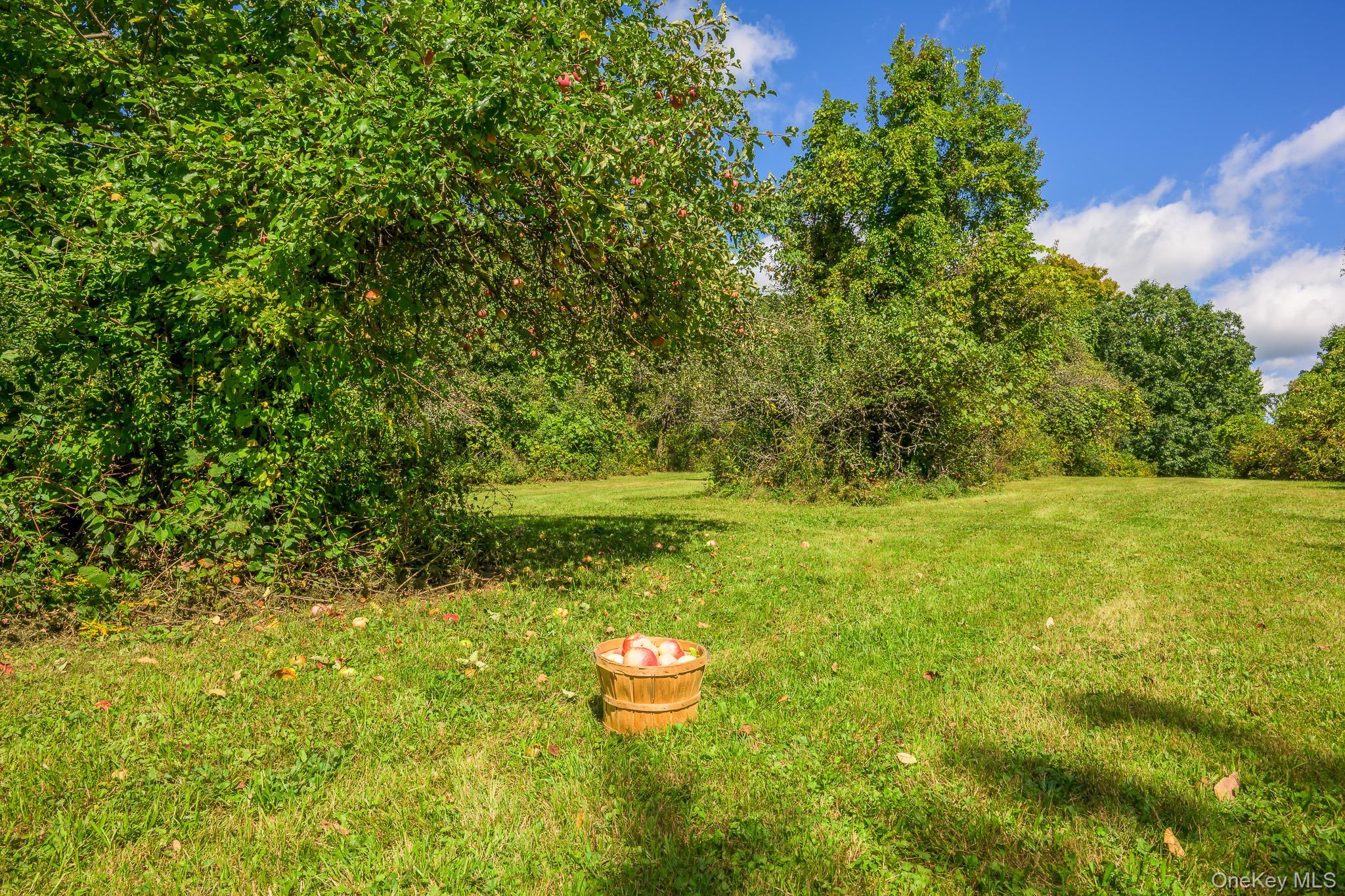 Single Family Palmer Road Extension Columbia County, NY 12521, MLS-1056045-34