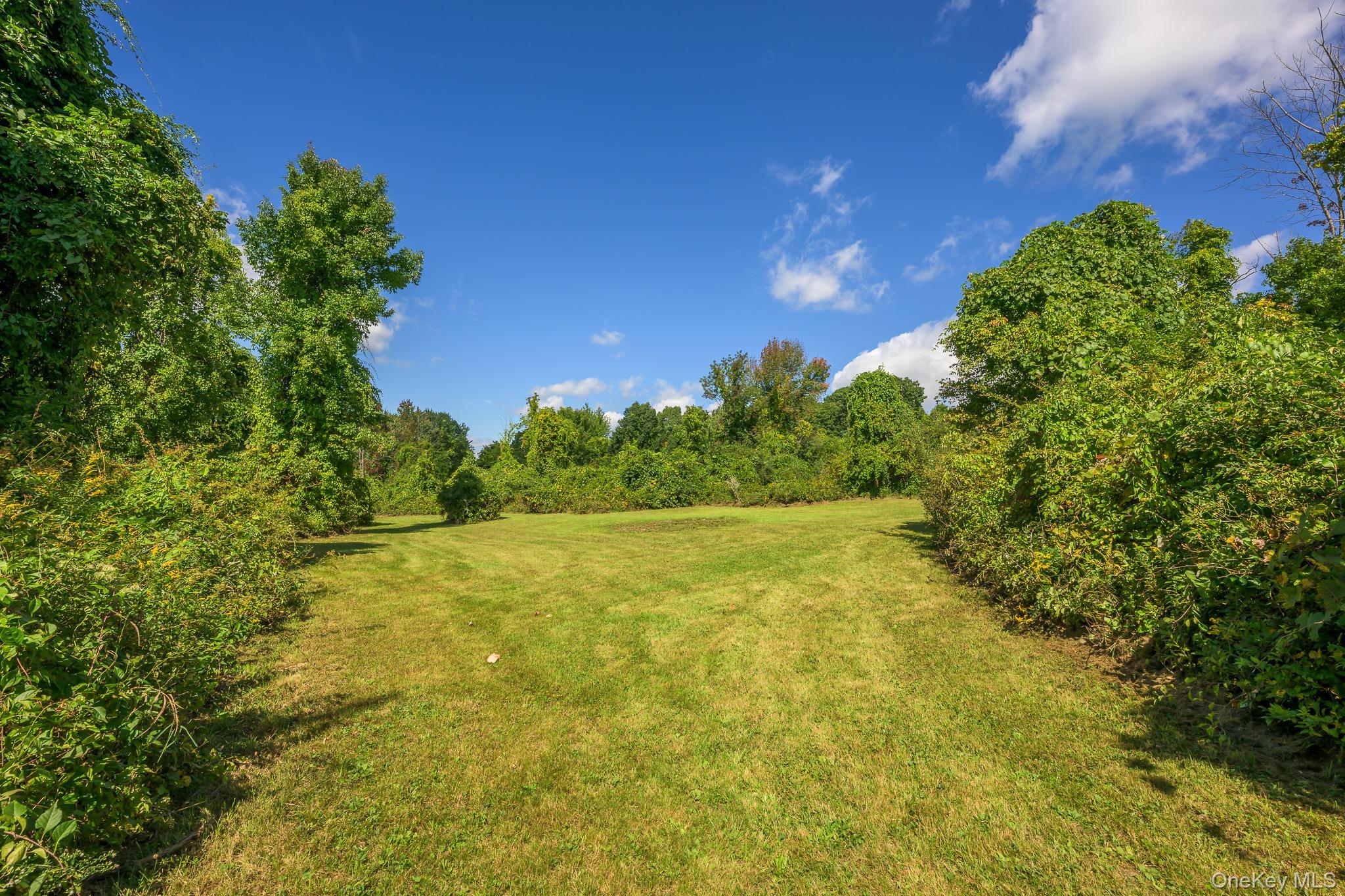 Single Family Palmer Road Extension Columbia County, NY 12521, MLS-1056045-38