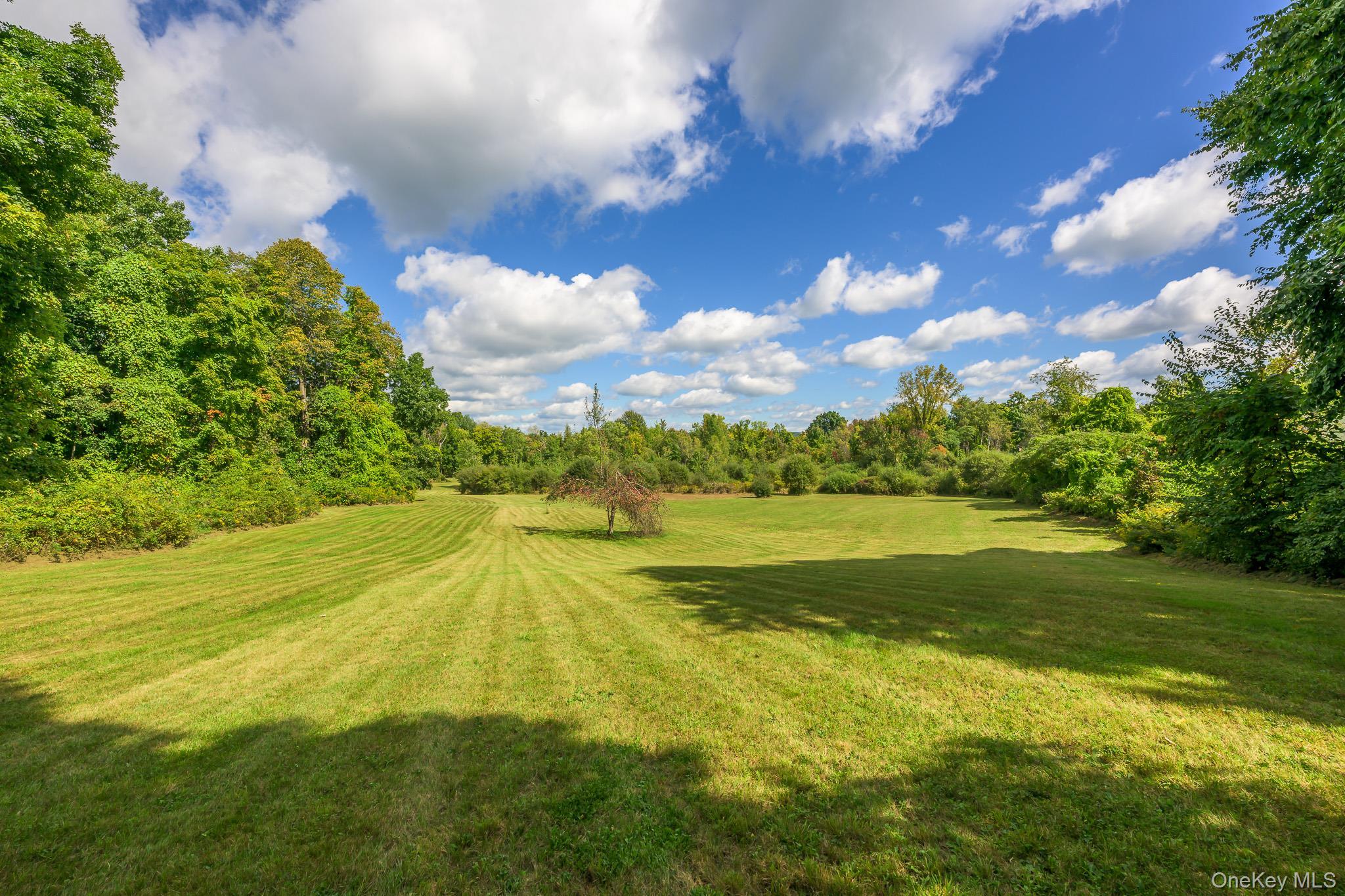 Single Family Palmer Road Extension Columbia County, NY 12521, MLS-1056045-39
