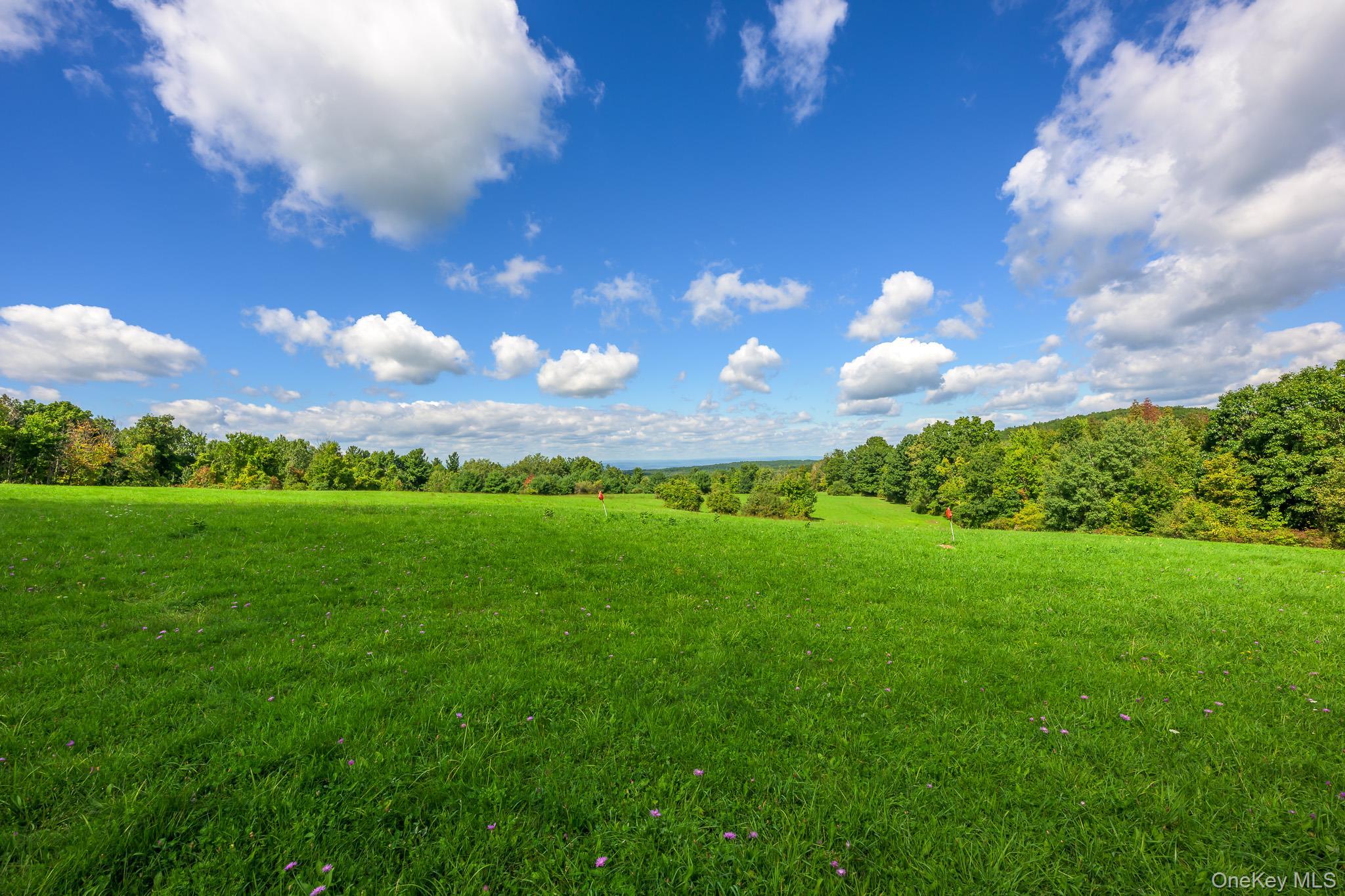 Single Family Palmer Road Extension Columbia County, NY 12521, MLS-1056045-40