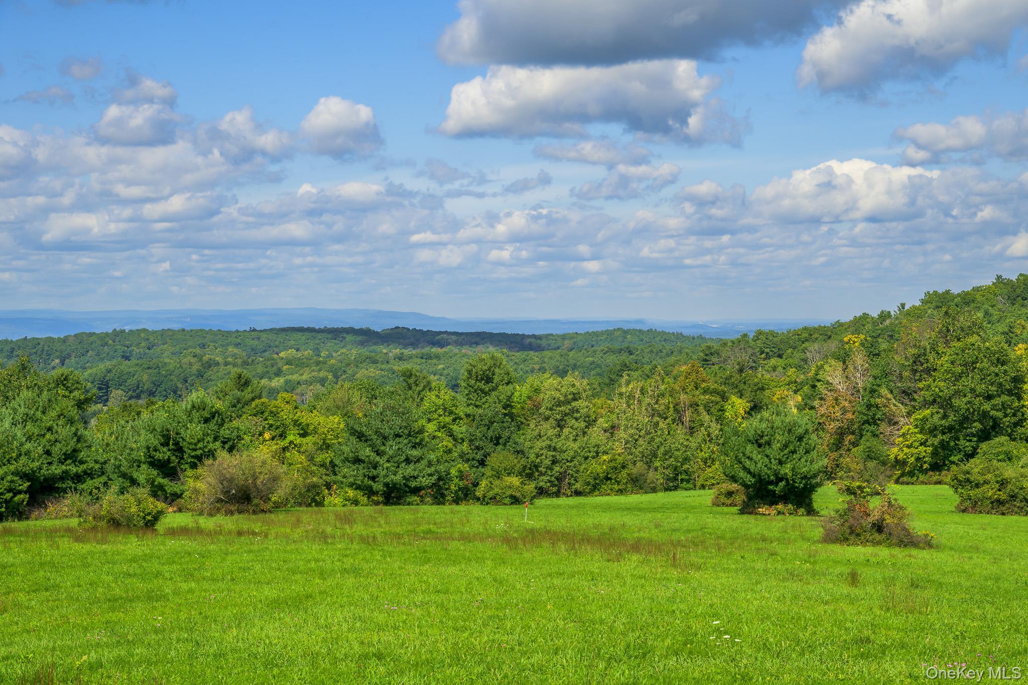 Single Family Palmer Road Extension Columbia County, NY 12521, MLS-1056045-41