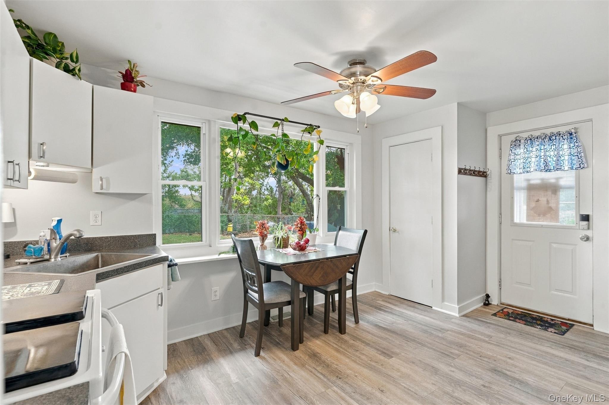 Single Family Hoyt Street Ulster County, NY 12466, MLS-1056064-15