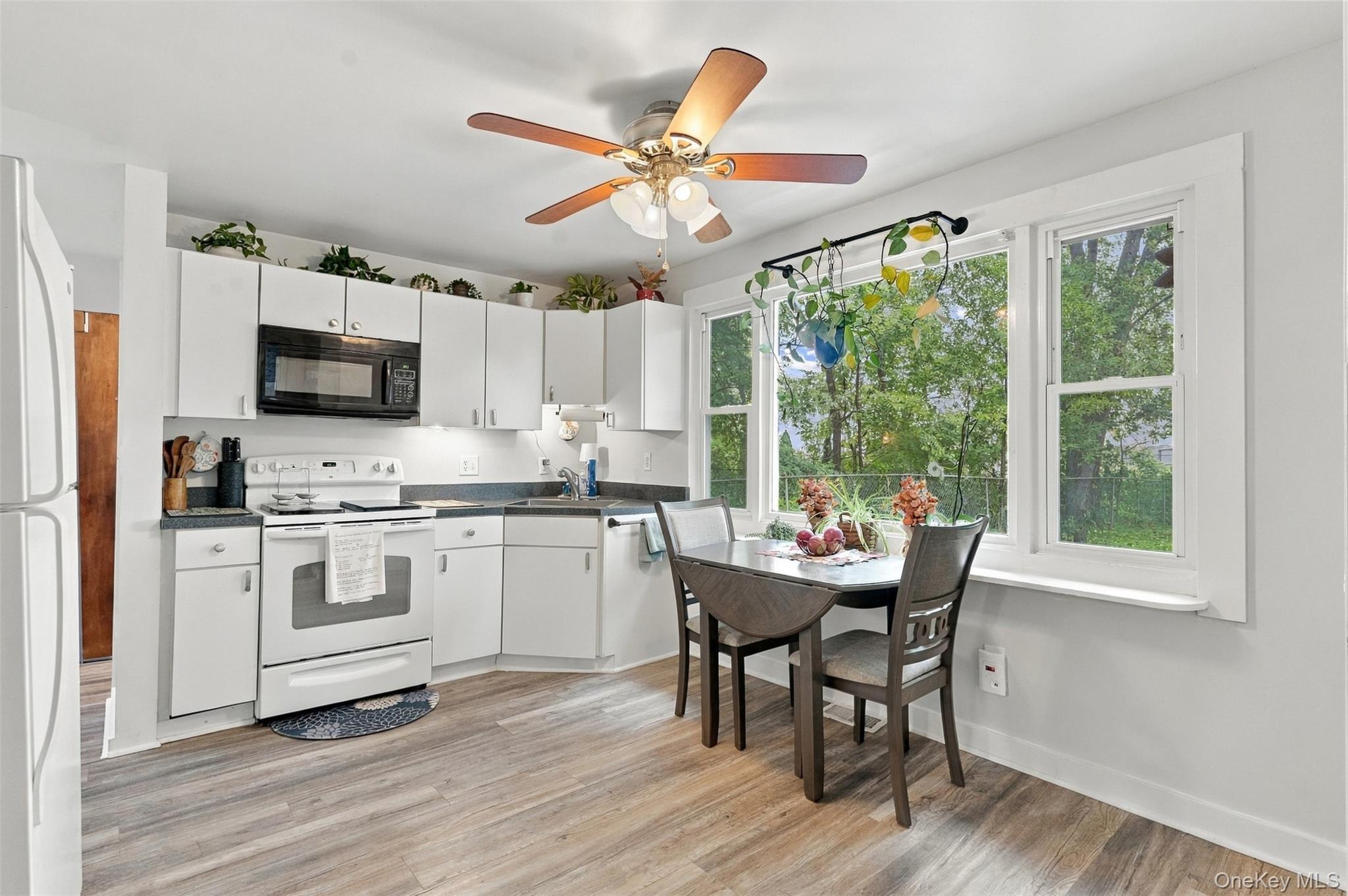 Single Family Hoyt Street Ulster County, NY 12466, MLS-1056064-16