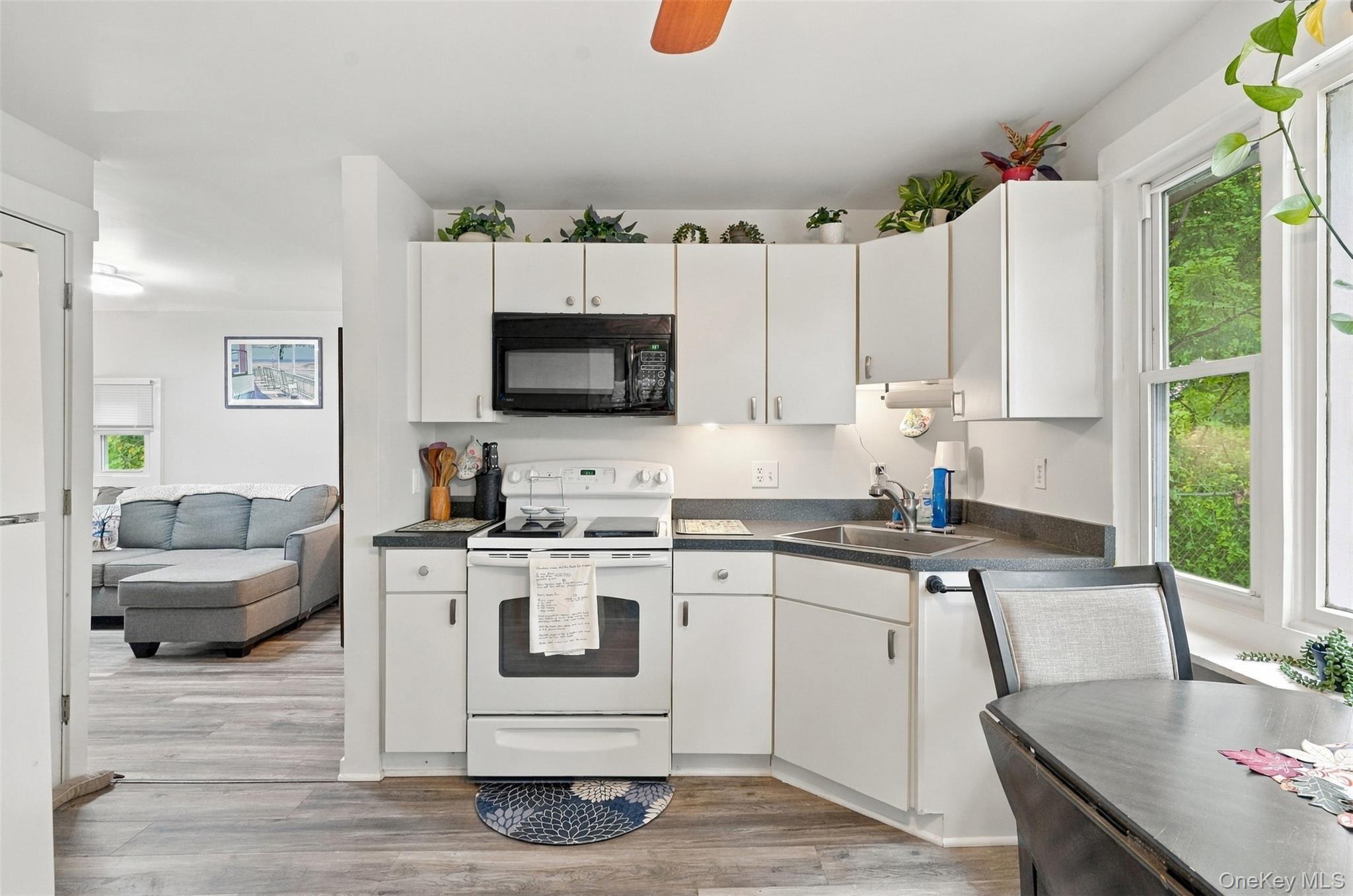 Single Family Hoyt Street Ulster County, NY 12466, MLS-1056064-18