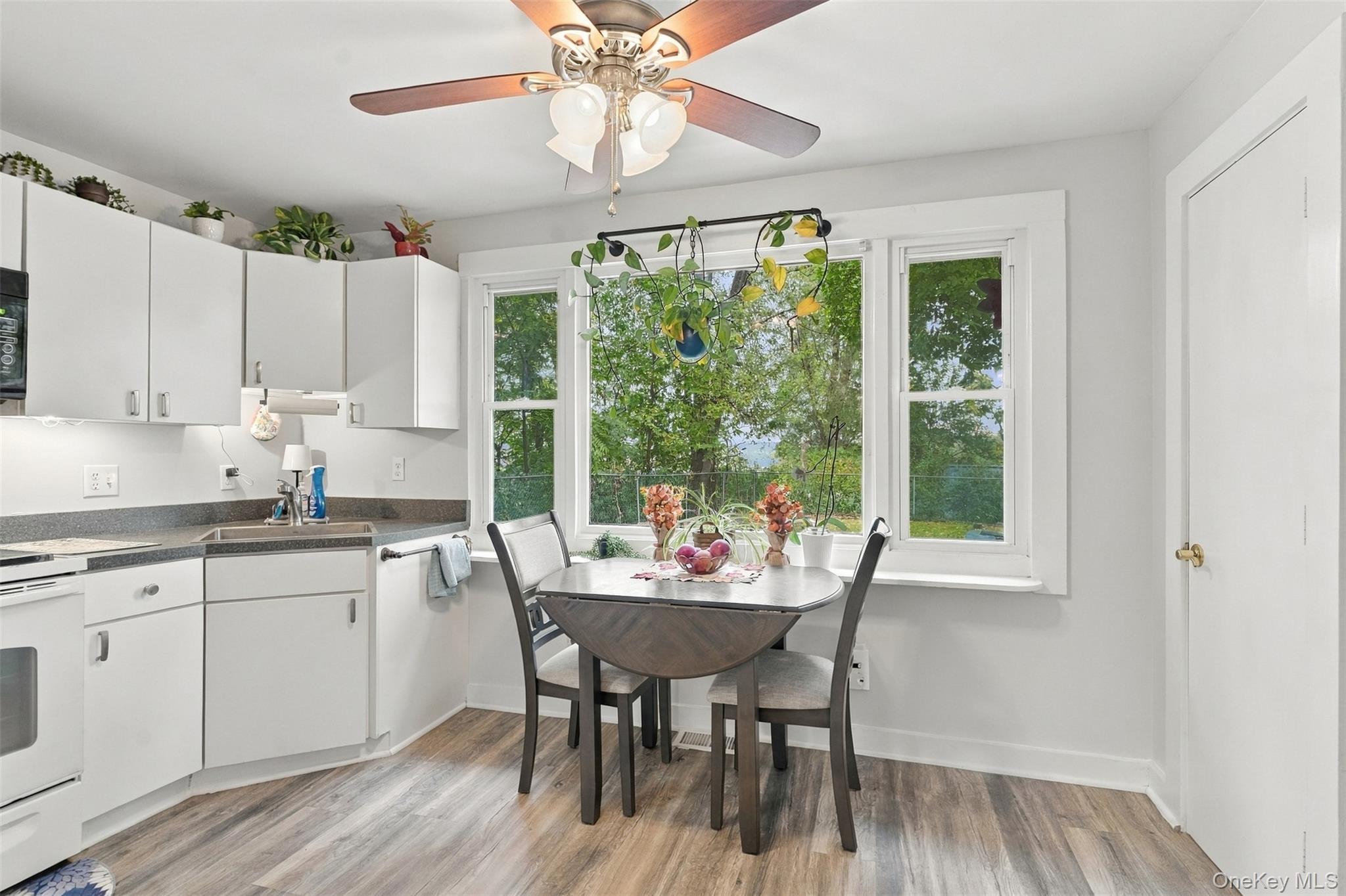 Single Family Hoyt Street Ulster County, NY 12466, MLS-1056064-20