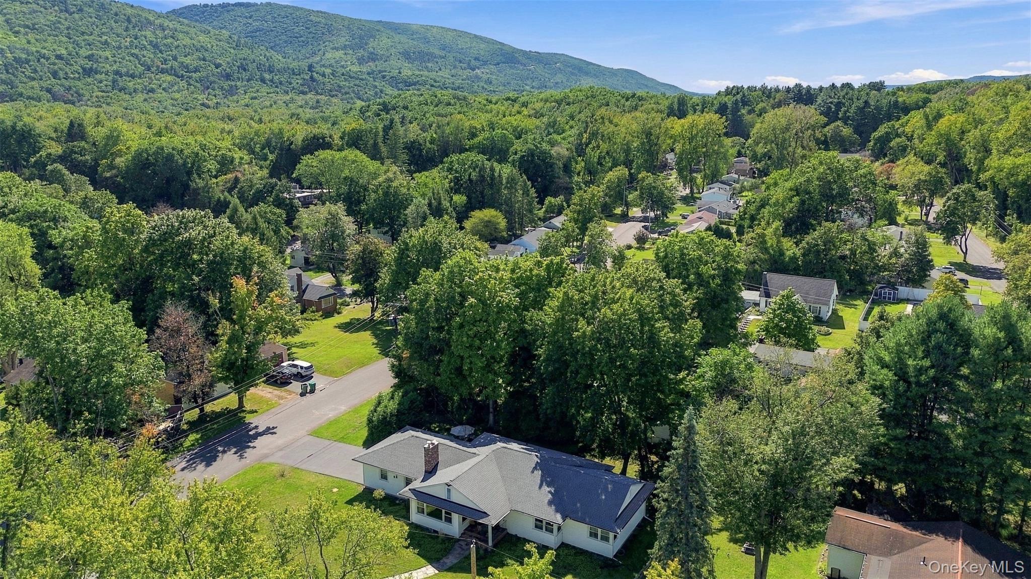 Single Family Elm Street  Ulster County, NY 12428, MLS-1056068-4