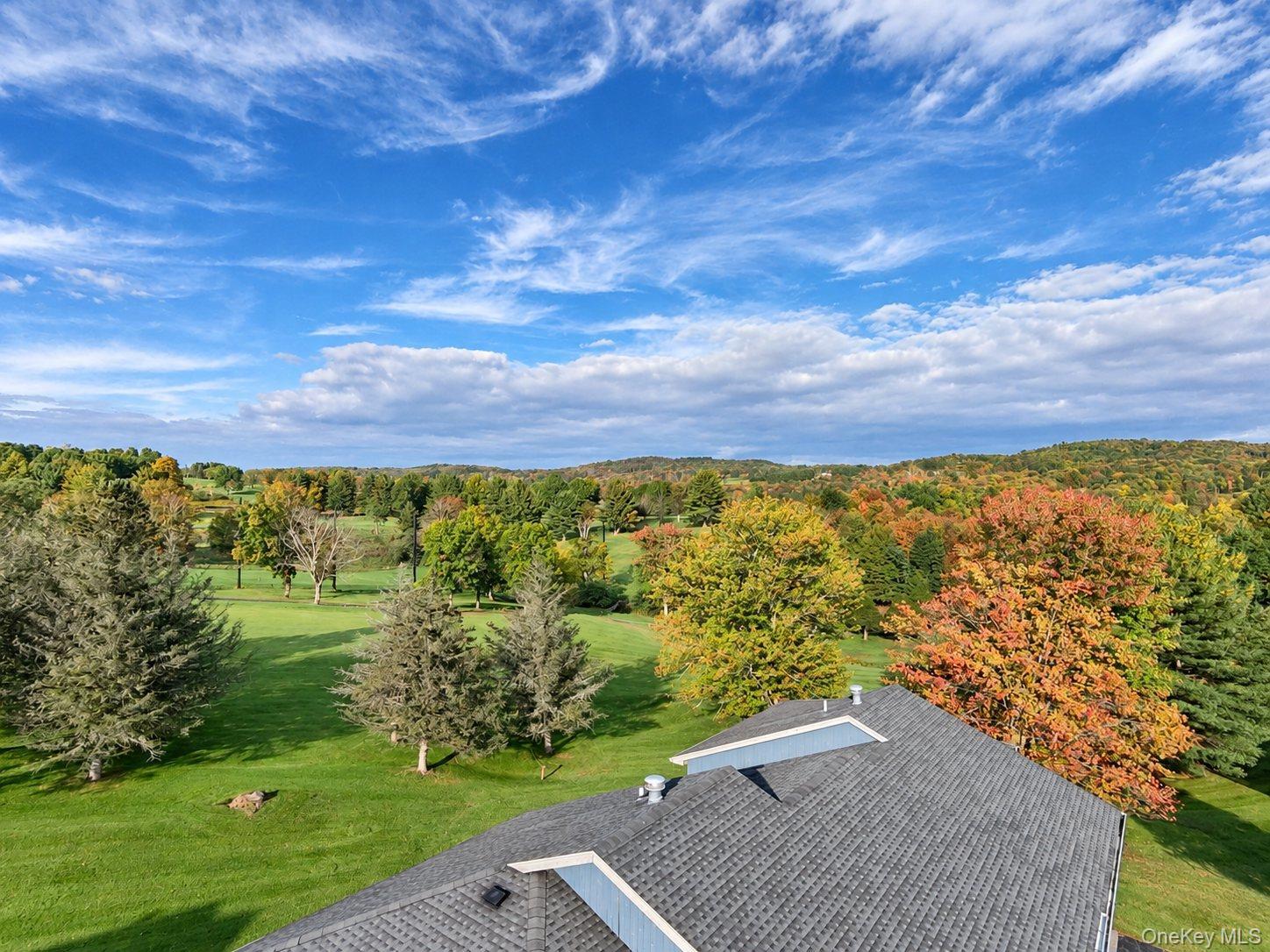 Single Family Villa Roma Road  Sullivan County, NY 12723, MLS-1056117-6