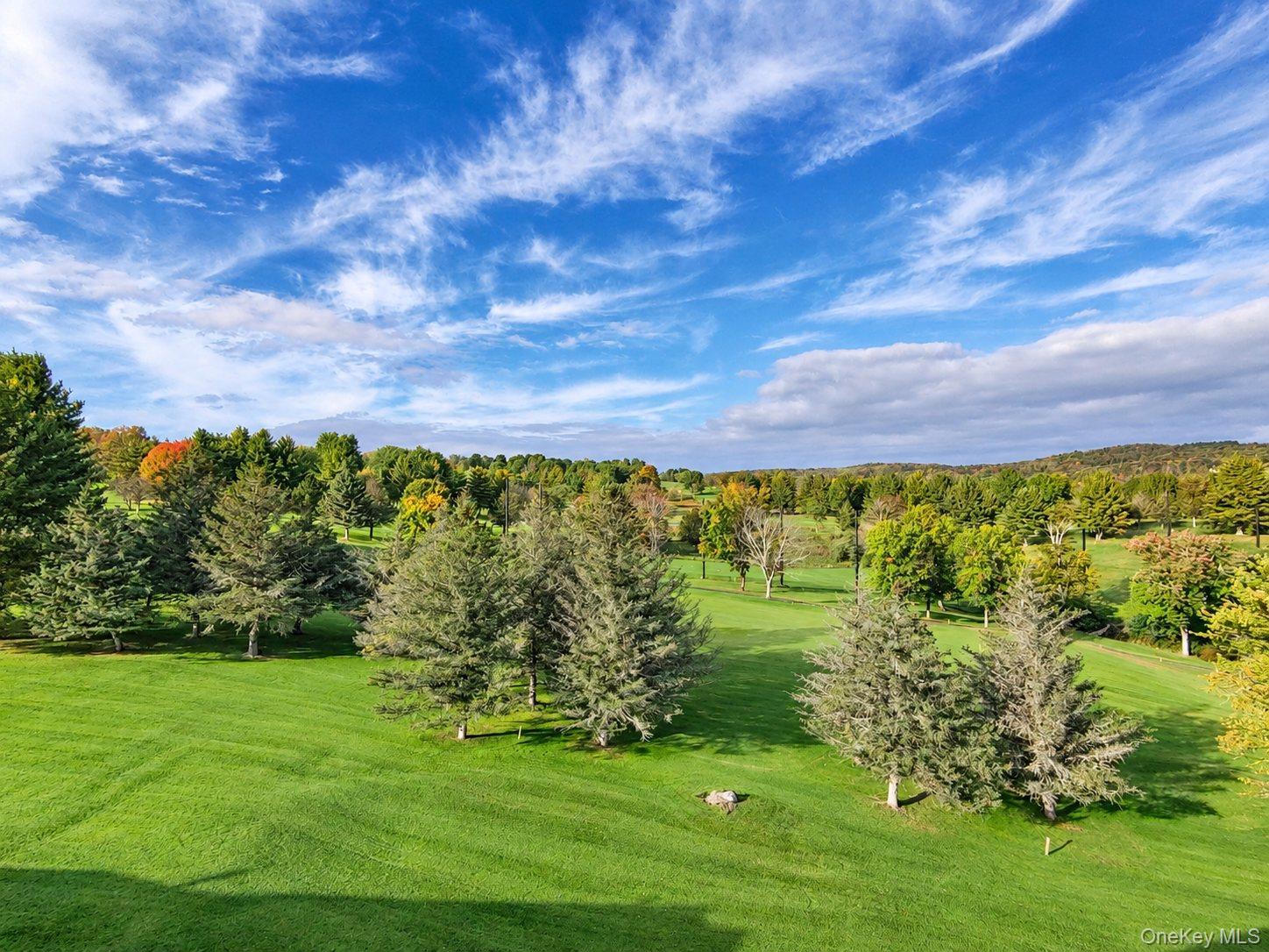 Single Family Villa Roma Road  Sullivan County, NY 12723, MLS-1056117-7