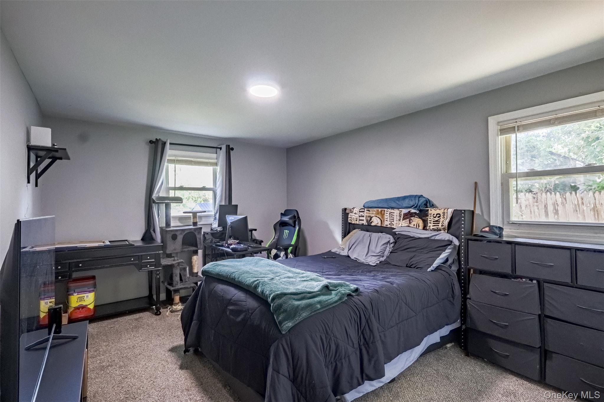 Single Family Elmwood Avenue Suffolk County, NY 11784, MLS-1056171-10