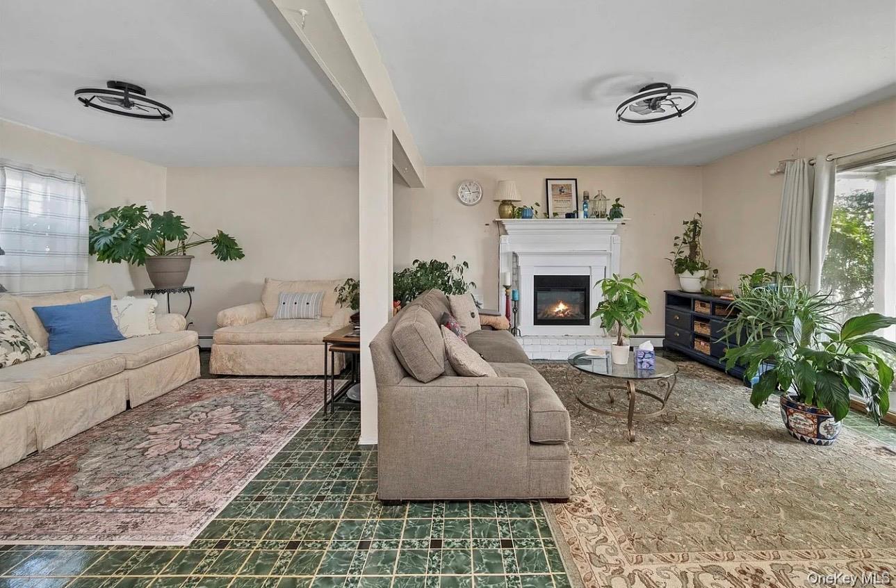Single Family Acapulco Street  Nassau County, NY 11509, MLS-1056175-20