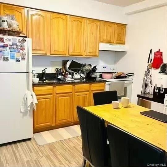 Single Family 161st Street  Queens, NY 11358, MLS-1056253-4