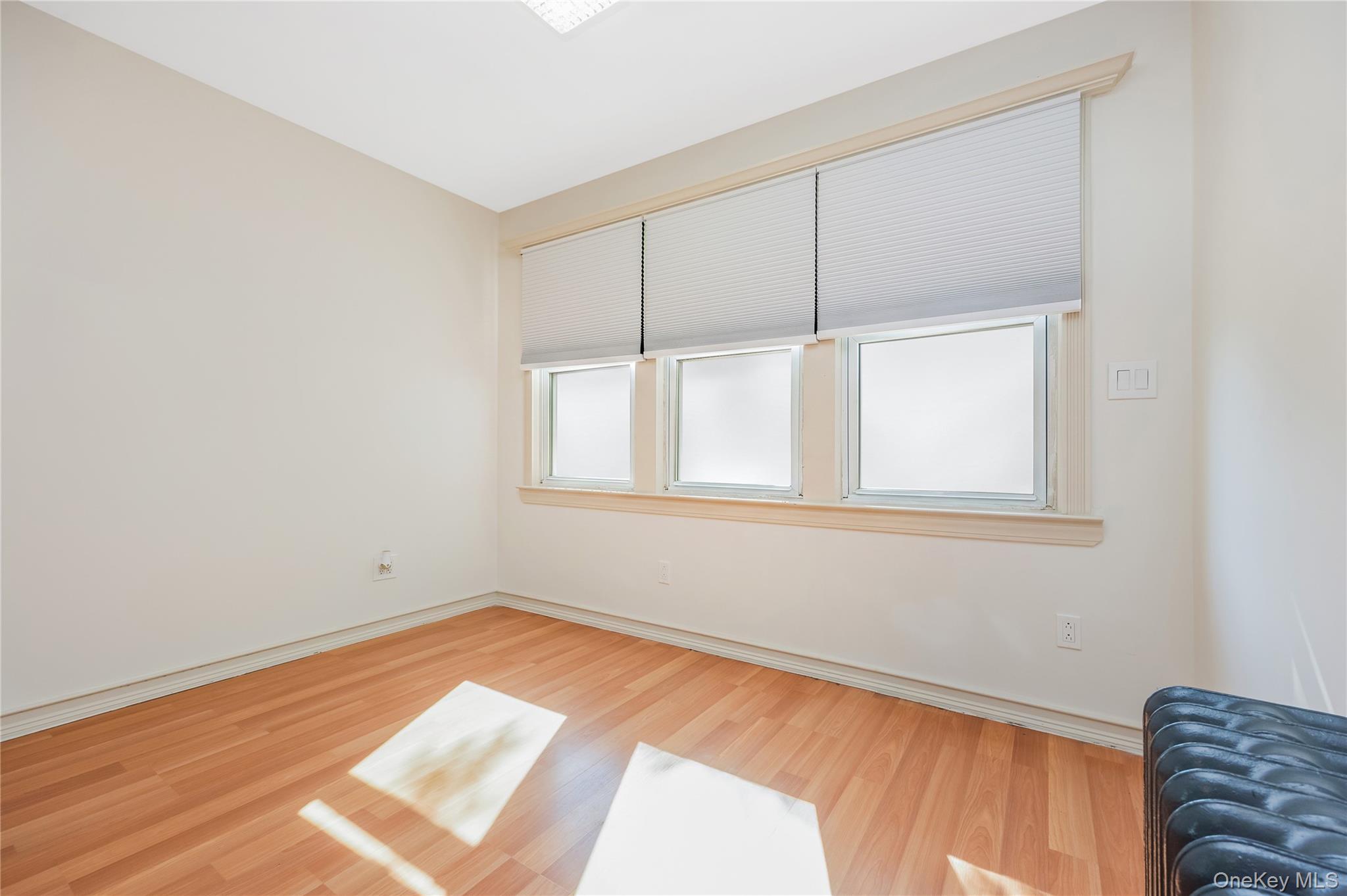 Single Family 107th Avenue Queens, NY 11417, MLS-1056273-13