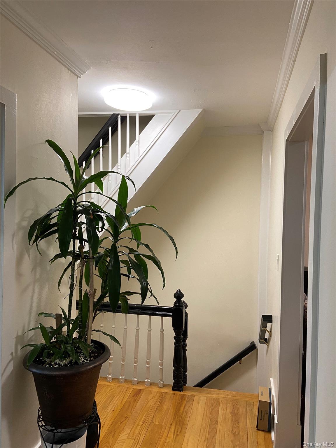Single Family Wilder Avenue Bronx, NY 10466, MLS-1056276-19