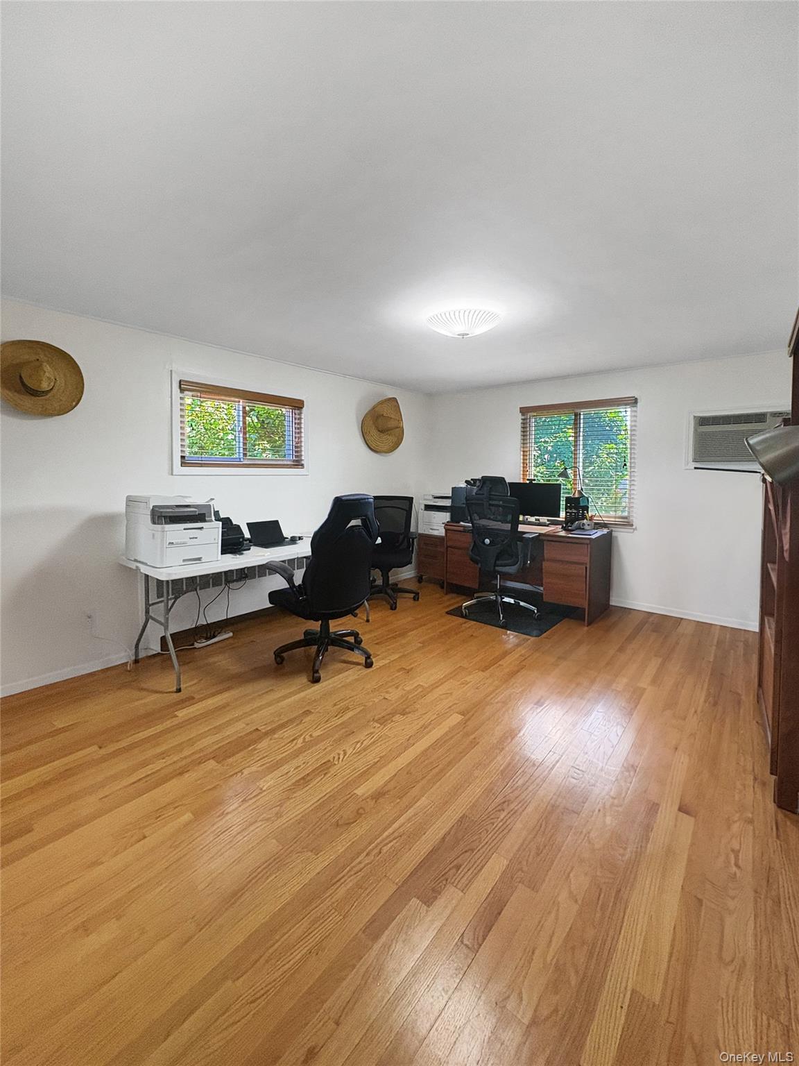 Single Family Massapequa Avenue Nassau County, NY 11758, MLS-1056286-16