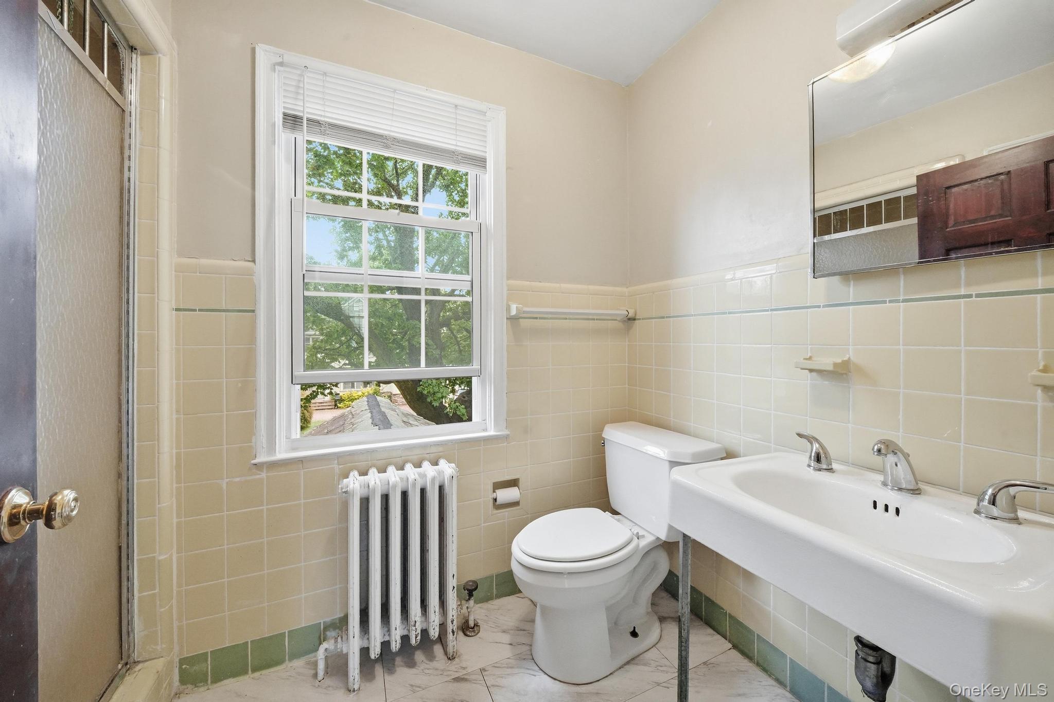 Single Family Tennyson Avenue  Nassau County, NY 11590, MLS-1056435-17