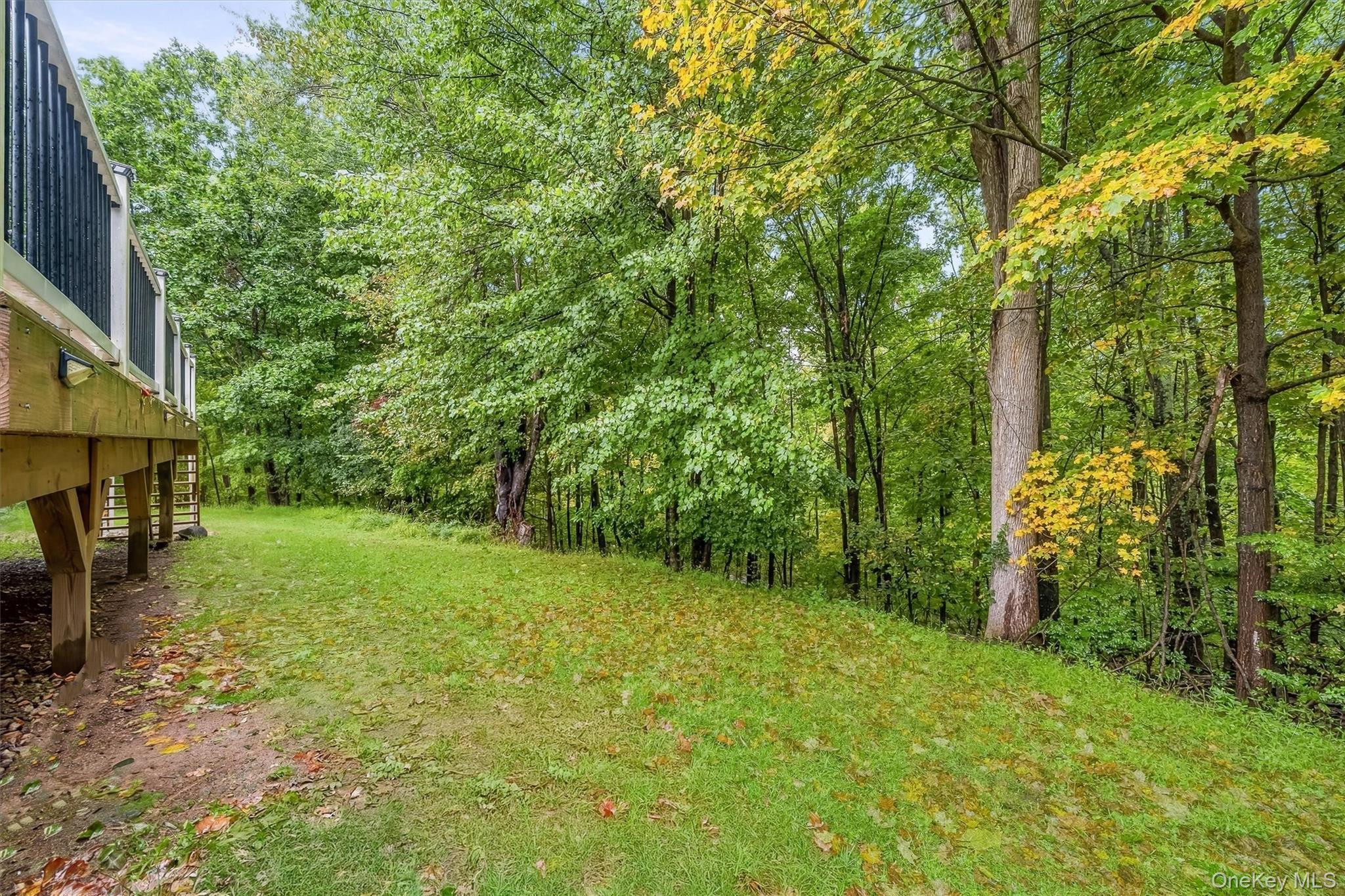 Single Family Route 211 W  Orange County, NY 10940, MLS-1056459-36