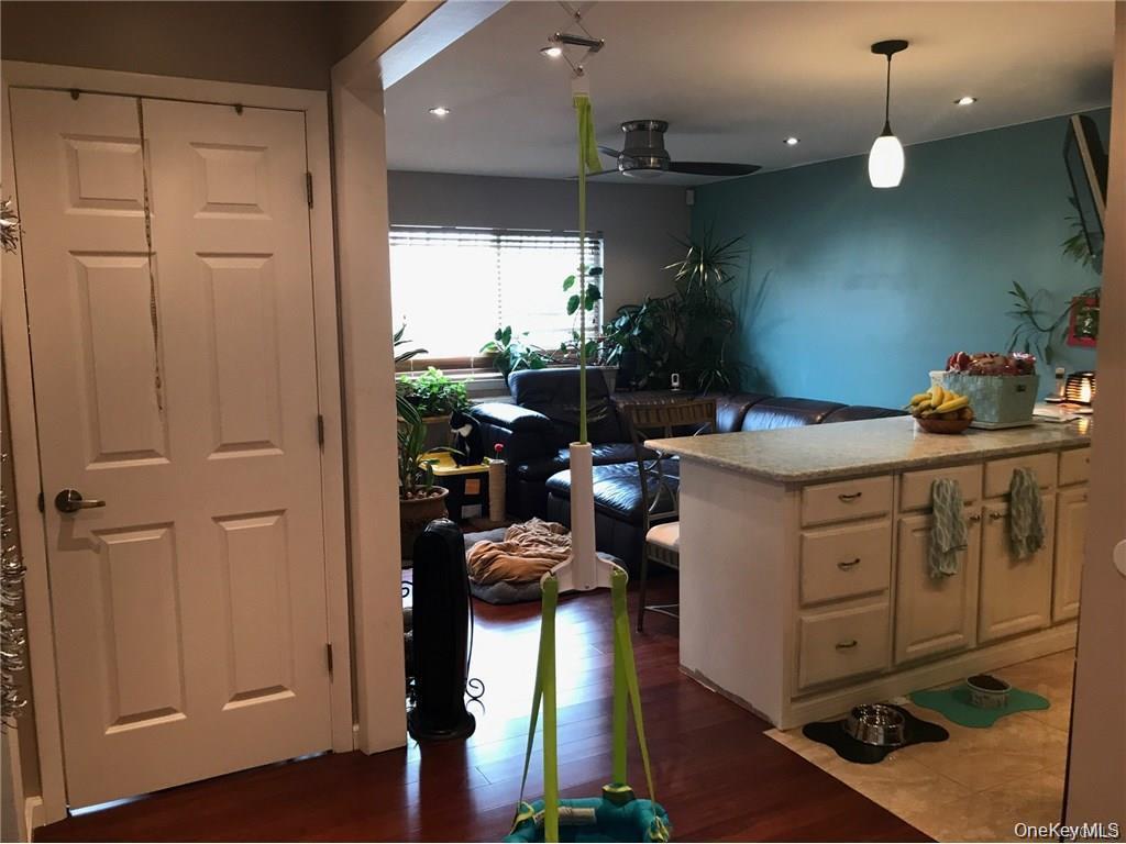 Single Family Norton Avenue  Bronx, NY 10473, MLS-1056579-5