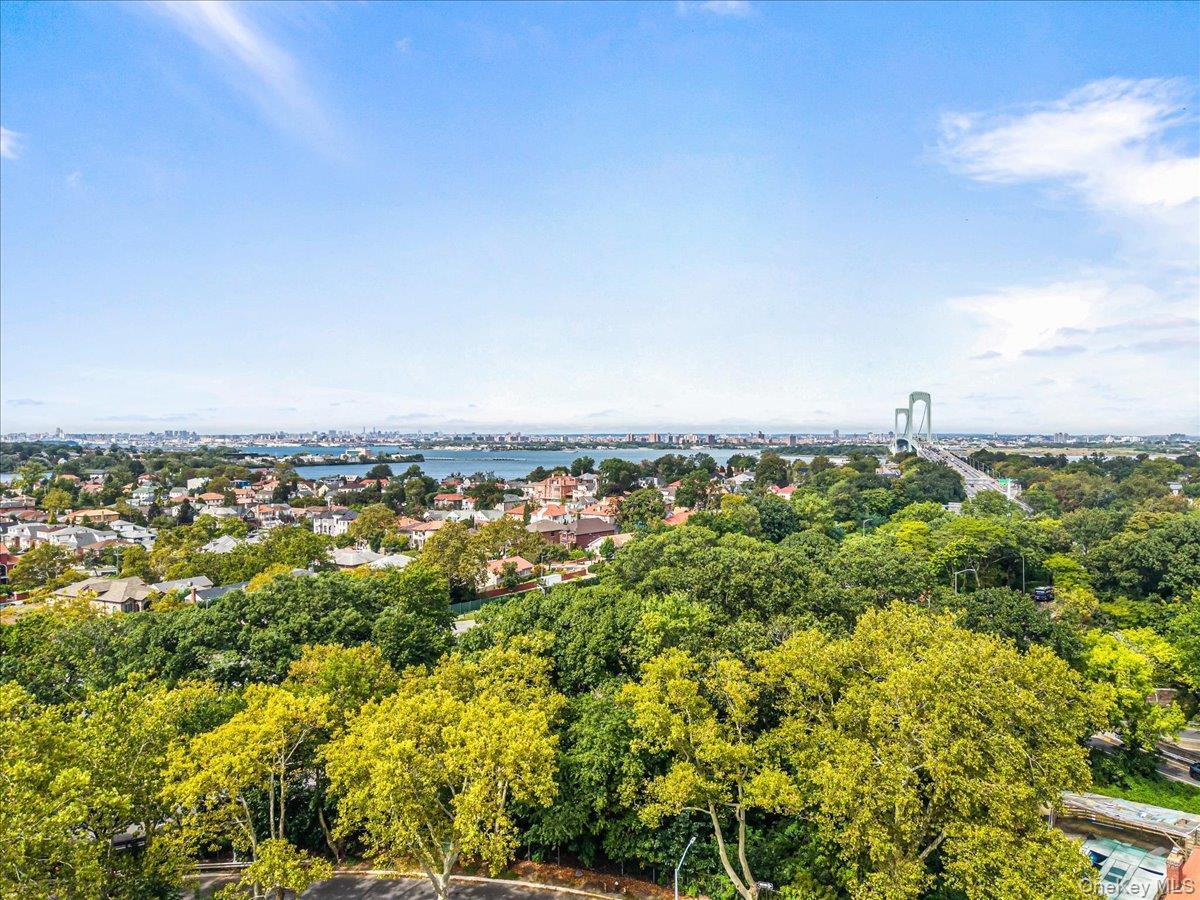 Single Family 145th Place  Queens, NY 11357, MLS-1056679-17