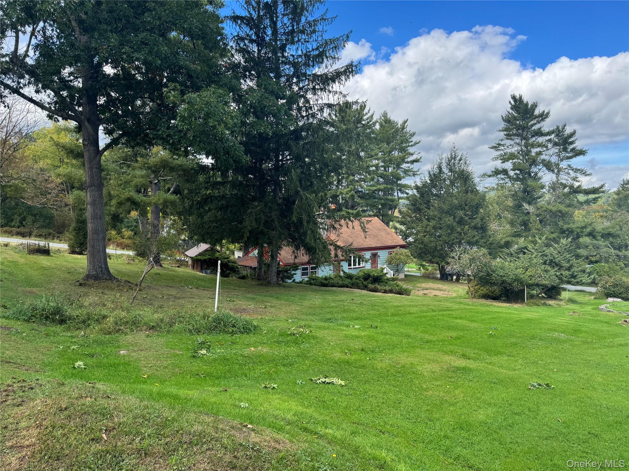 Single Family Hickory Lane  Sullivan County, NY 12764, MLS-1056715-31