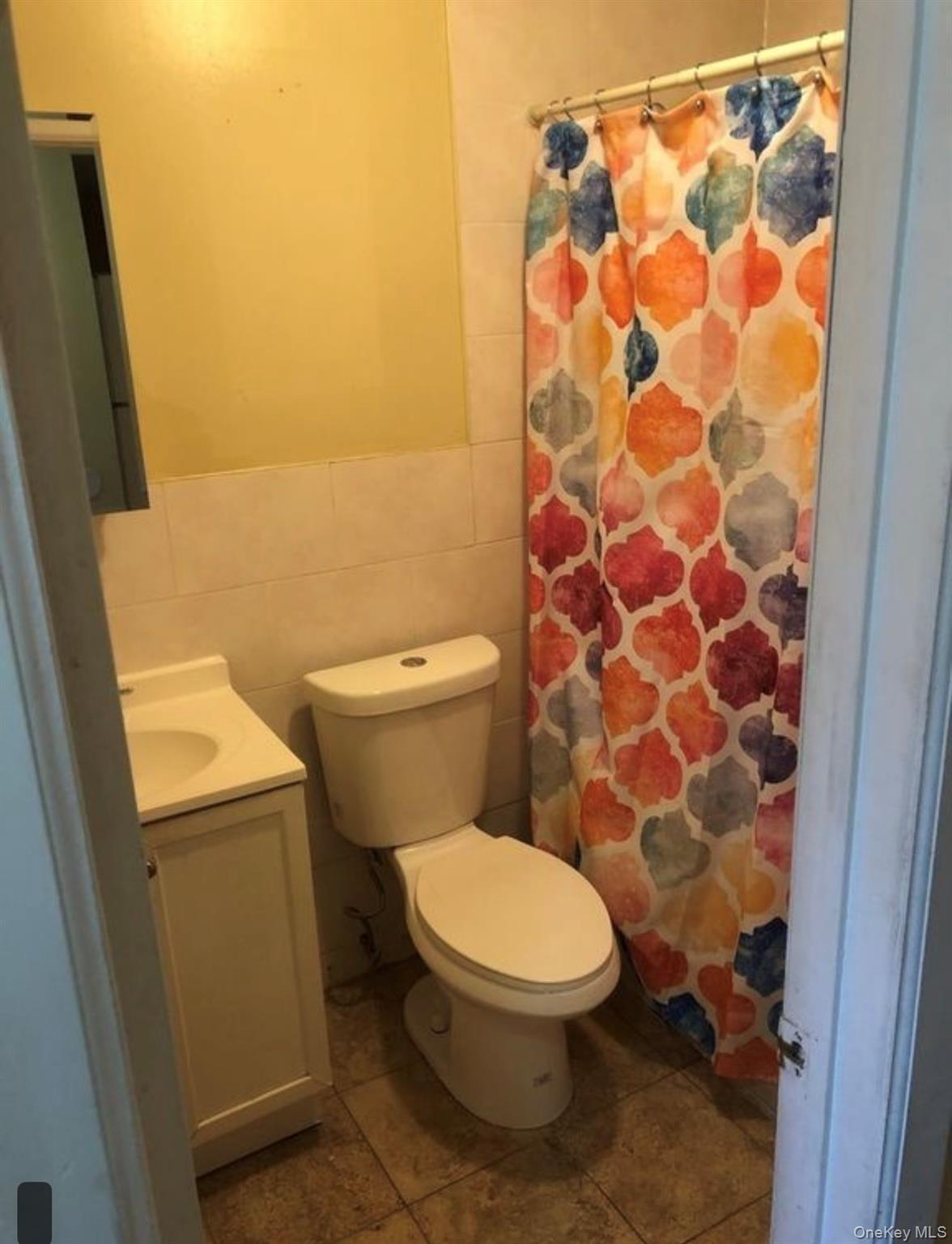 Single Family Prospect Place  Brooklyn, NY 11233, MLS-1056722-10