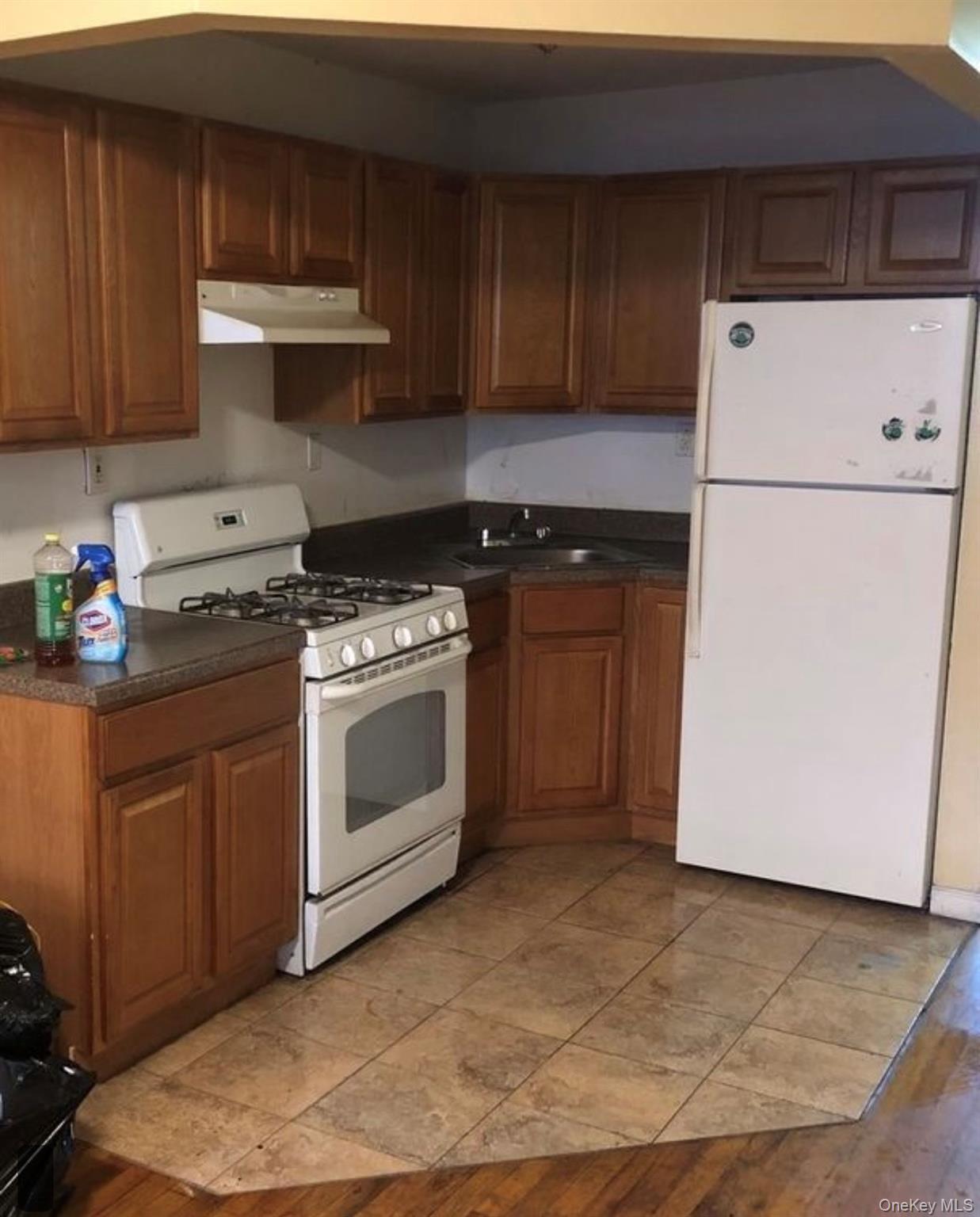 Single Family Prospect Place Brooklyn, NY 11233, MLS-1056722-2