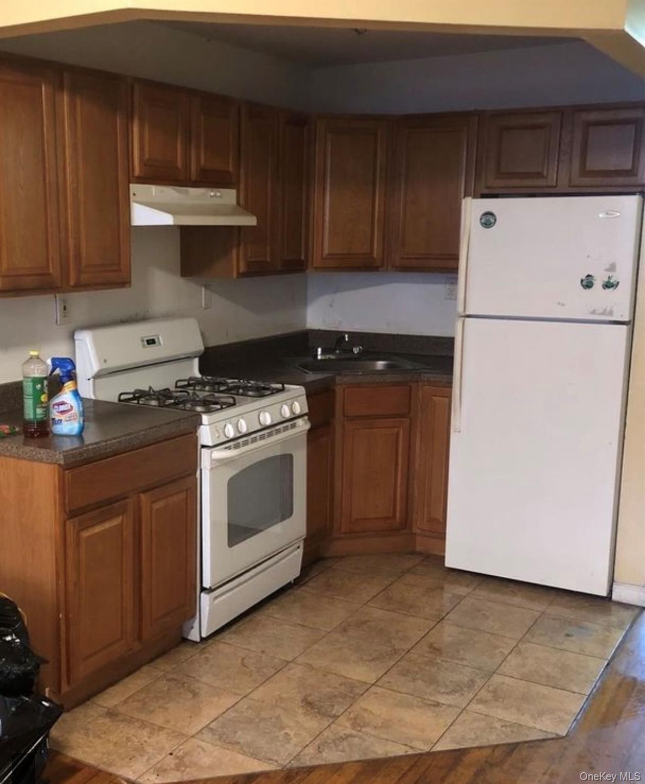Single Family Prospect Place Brooklyn, NY 11233, MLS-1056722-3