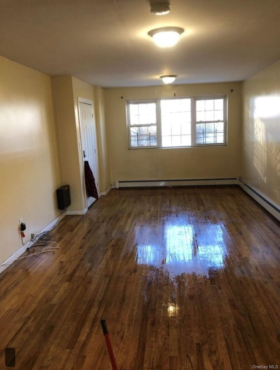 Single Family Prospect Place Brooklyn, NY 11233, MLS-1056722-9