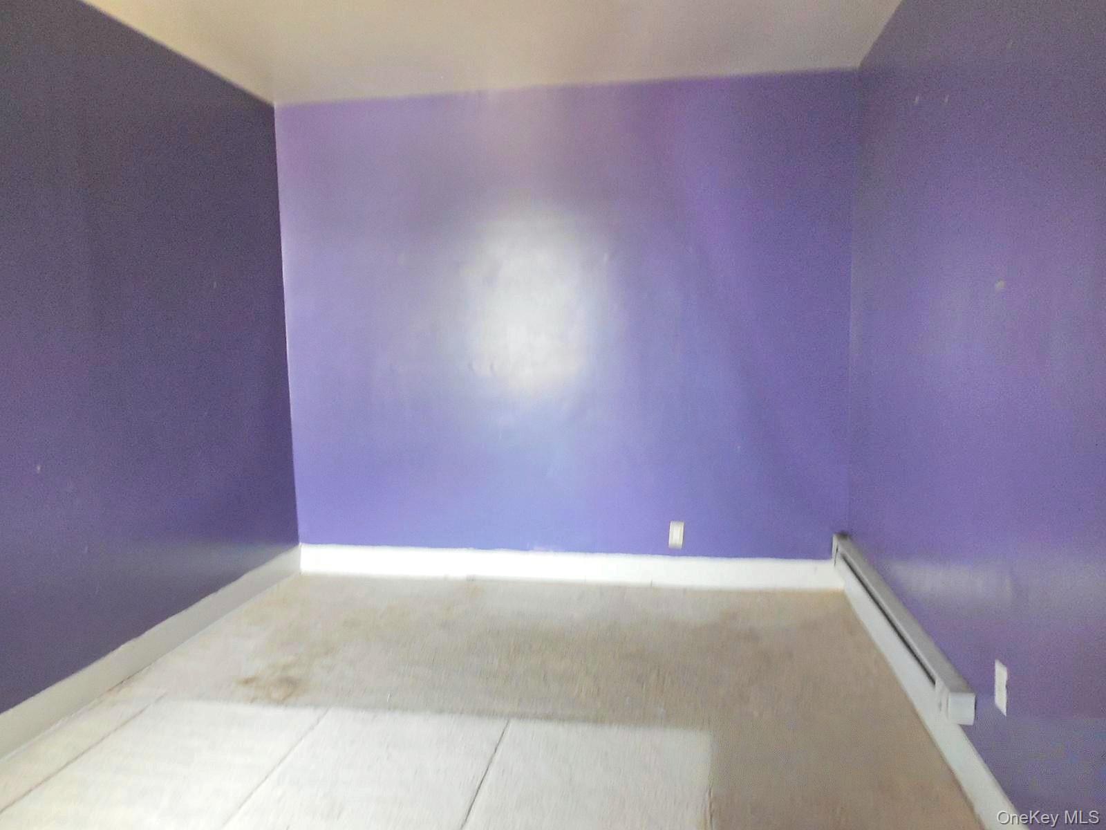 Single Family Mcintosh Street Queens, NY 11369, MLS-1056793-16