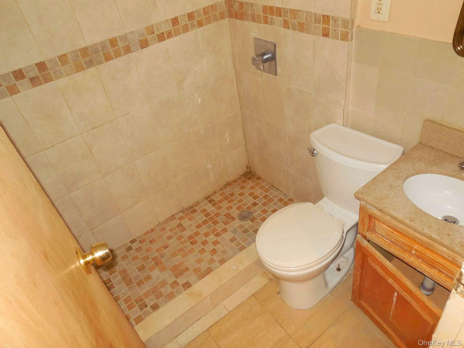 Single Family Mcintosh Street Queens, NY 11369, MLS-1056793-22