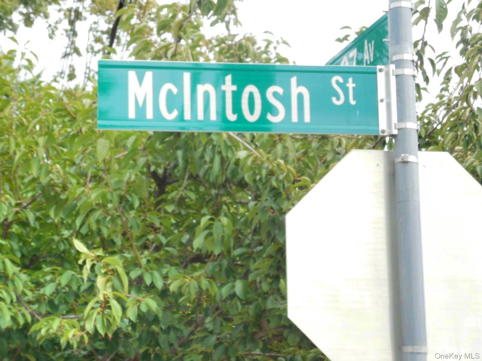 Single Family Mcintosh Street Queens, NY 11369, MLS-1056793-6