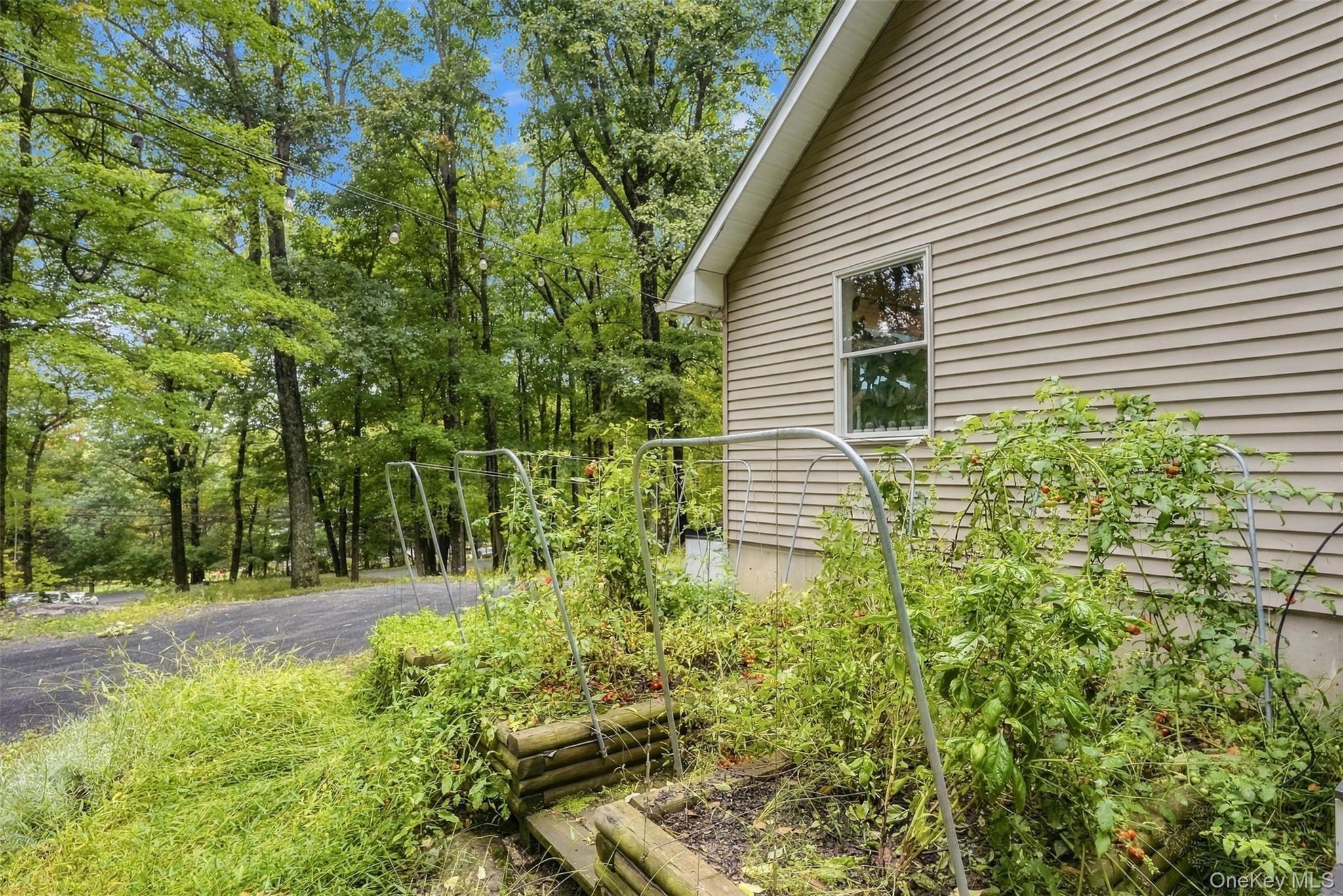 Single Family Hull Avenue Ulster County, NY 12515, MLS-1056876-28