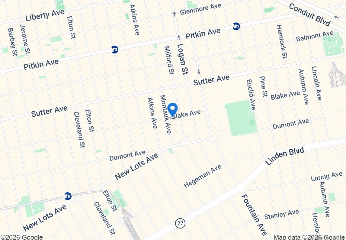 Single Family Blake Avenue  Brooklyn, NY 11208, MLS-1056901-41