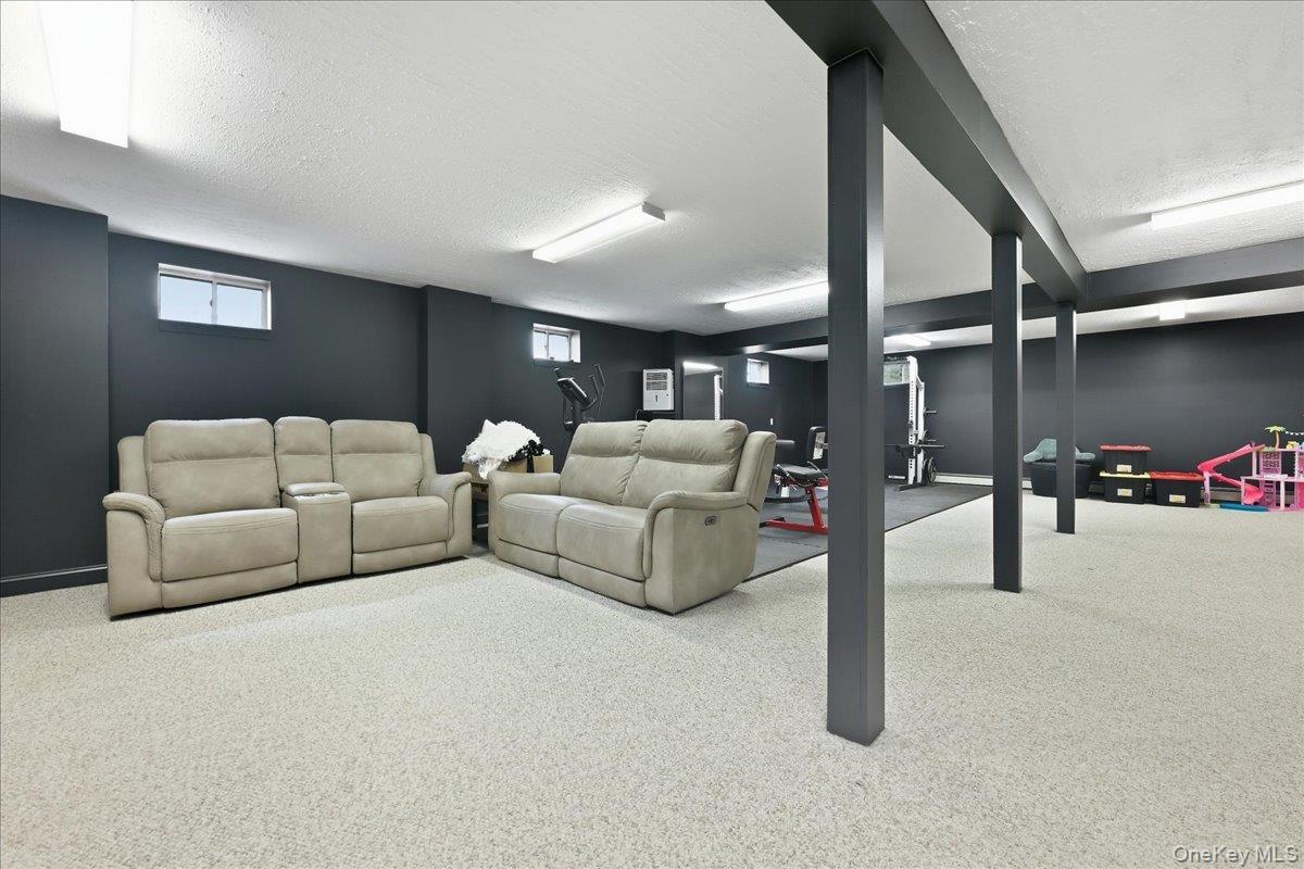 Single Family Monroe Street Nassau County, NY 11762, MLS-1056938-33
