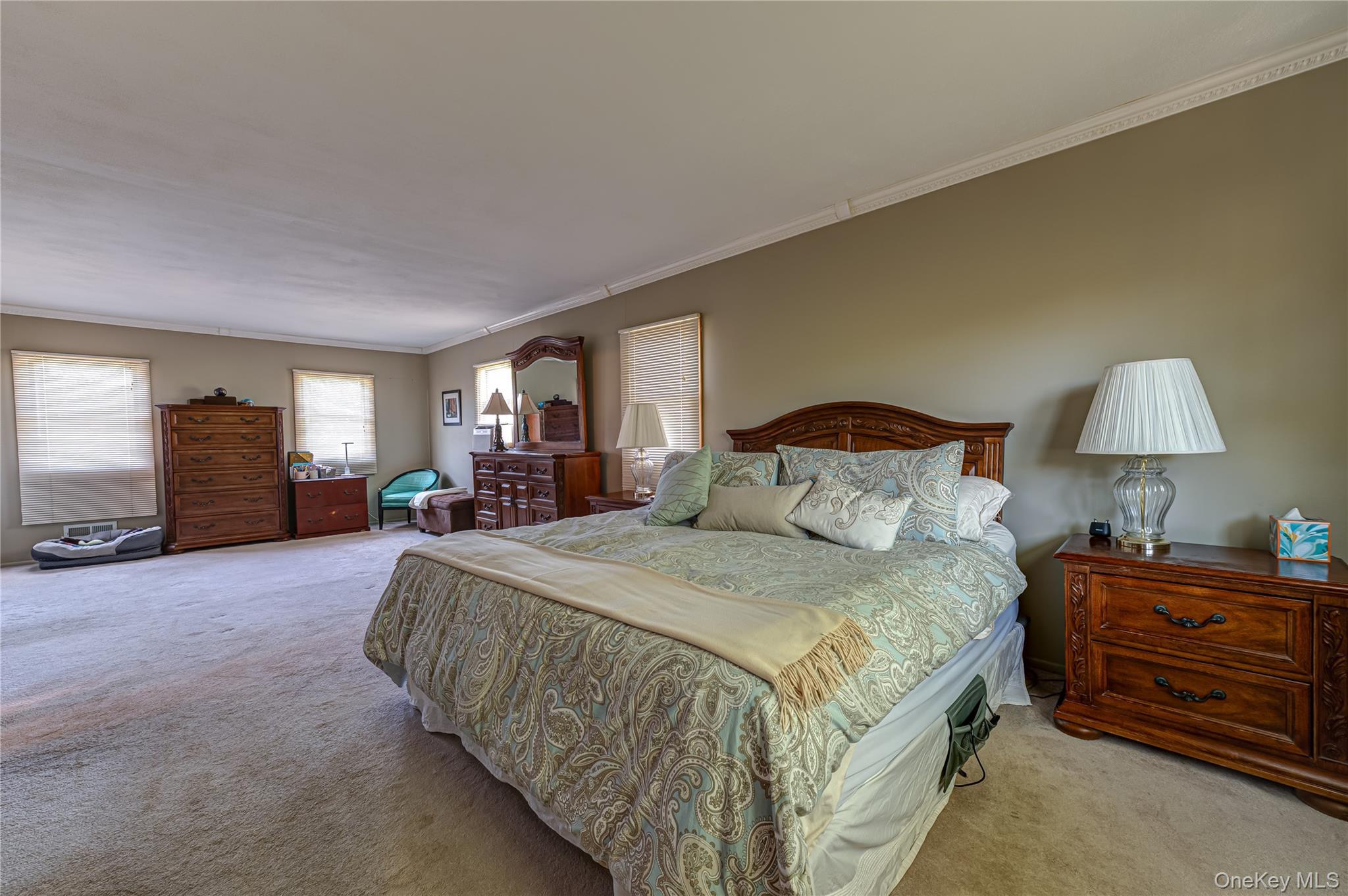 Single Family Evon Drive Sw Nassau County, NY 11791, MLS-1056960-13