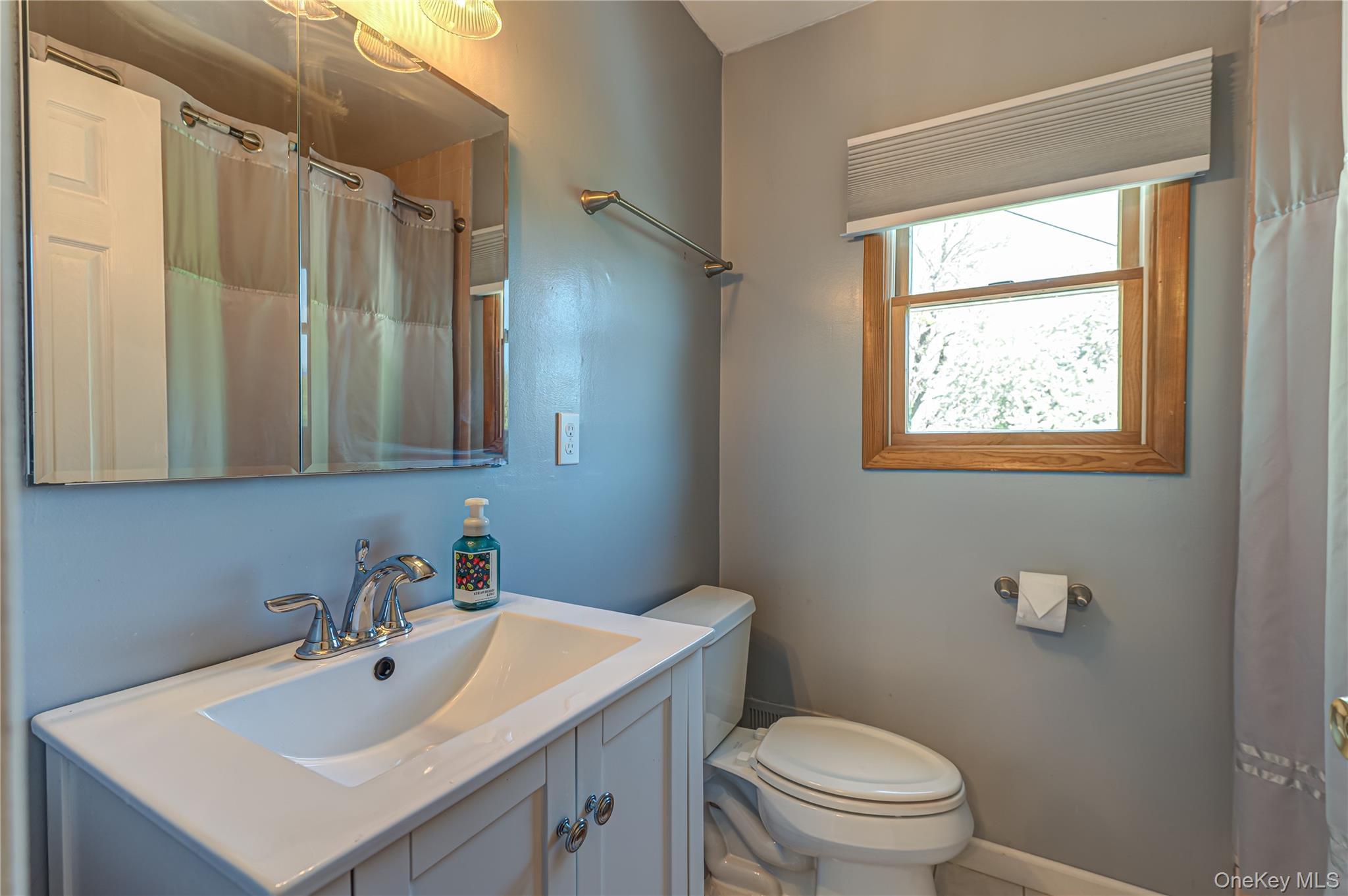 Single Family Evon Drive Sw Nassau County, NY 11791, MLS-1056960-17