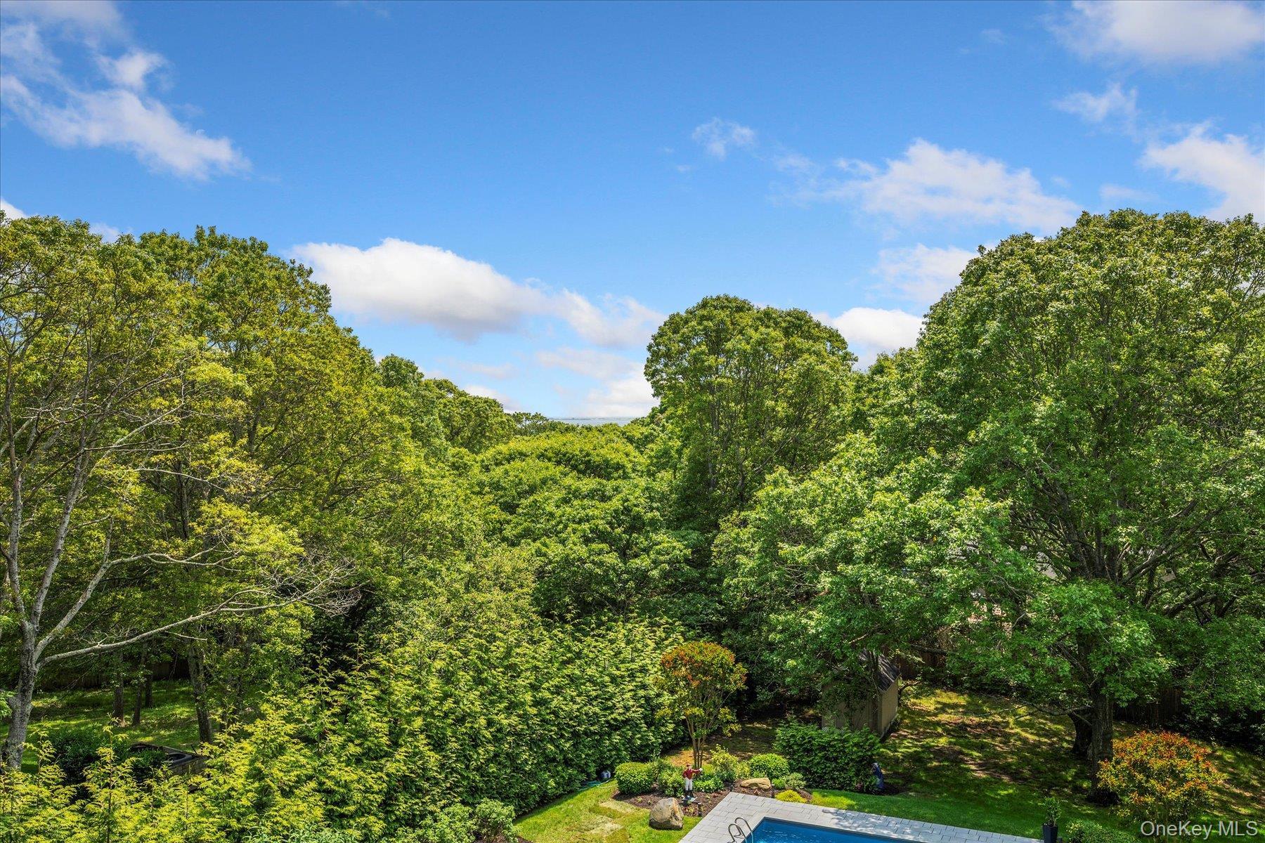 Single Family Old Canoe Place Road  Suffolk County, NY 11968, MLS-1057007-26