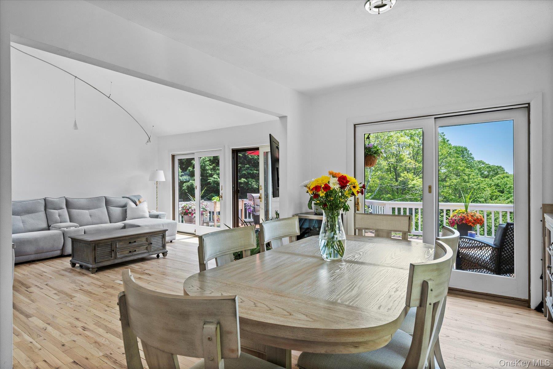 Single Family Old Canoe Place Road  Suffolk County, NY 11968, MLS-1057007-7