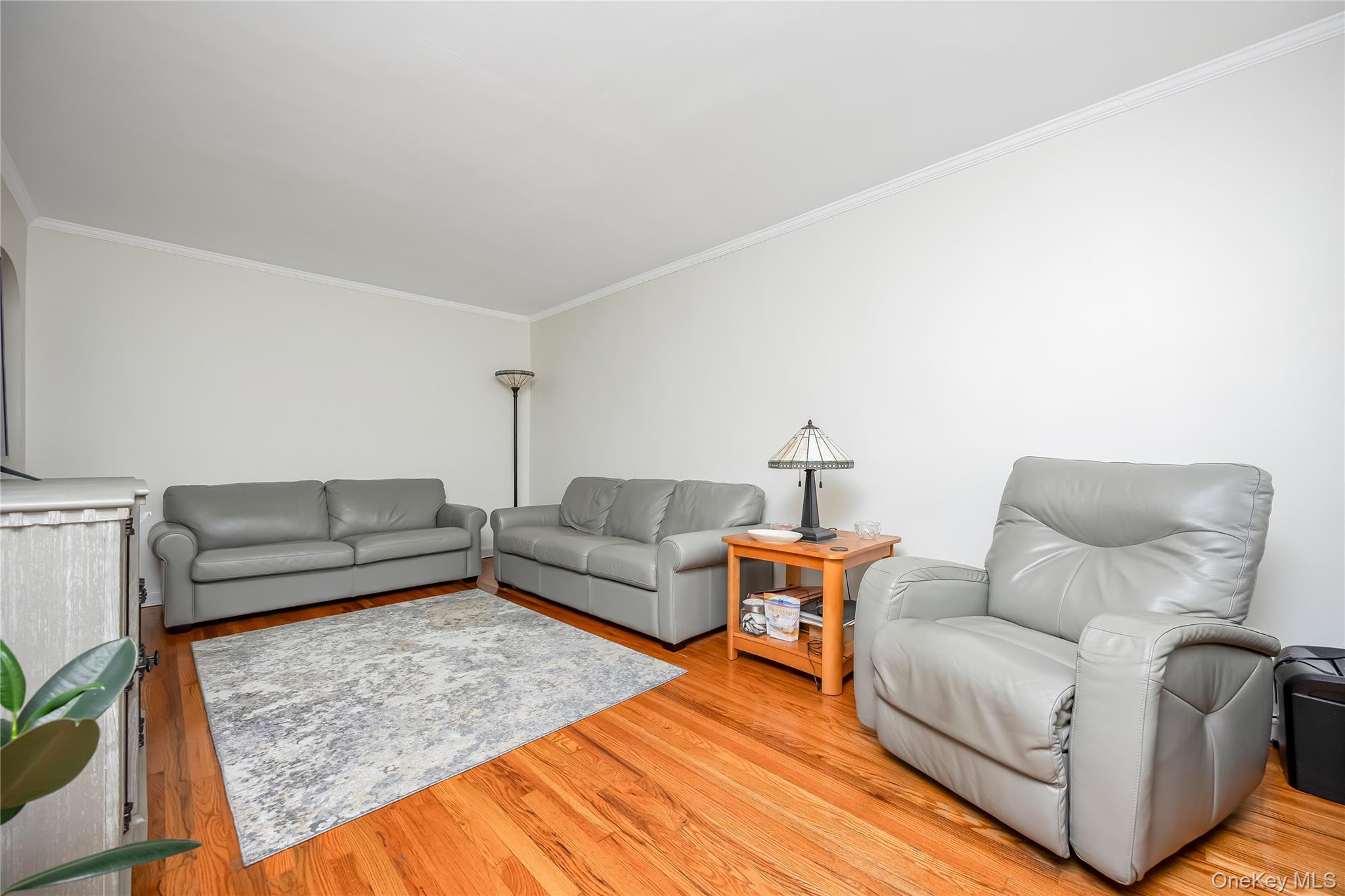 Single Family 58th Road Queens, NY 11379, MLS-1057048-3