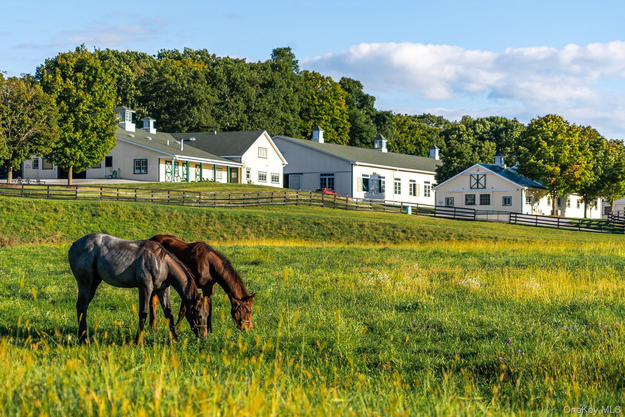 Single Family Spooky Hollow Road  Dutchess County, NY 12538, MLS-1057054-31