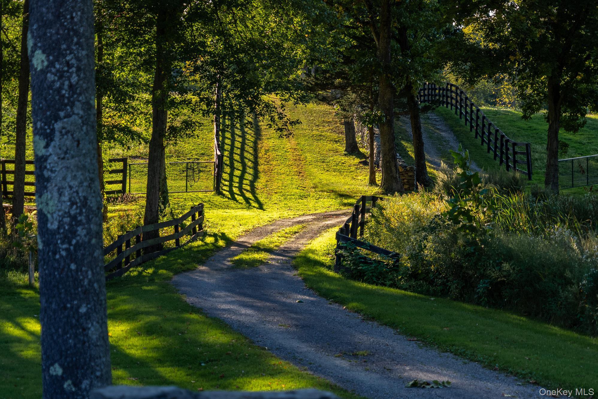 Single Family Spooky Hollow Road  Dutchess County, NY 12538, MLS-1057054-44
