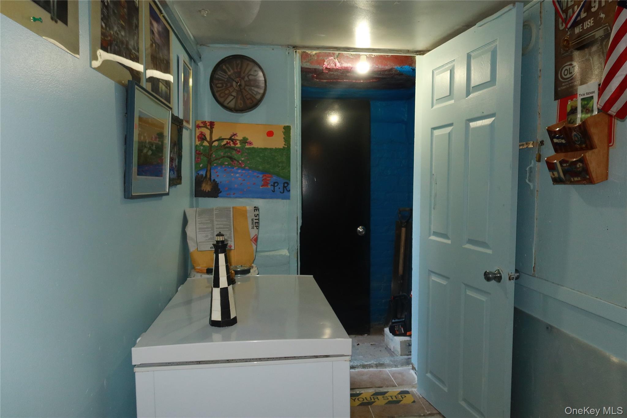 Single Family Lincoln Avenue Brooklyn, NY 11208, MLS-1057056-12
