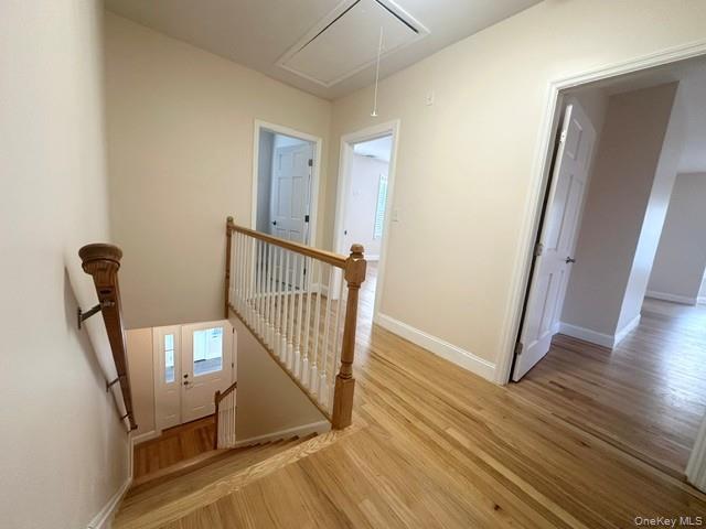 Single Family Orchard Street Orange County, NY 12586, MLS-1057143-23