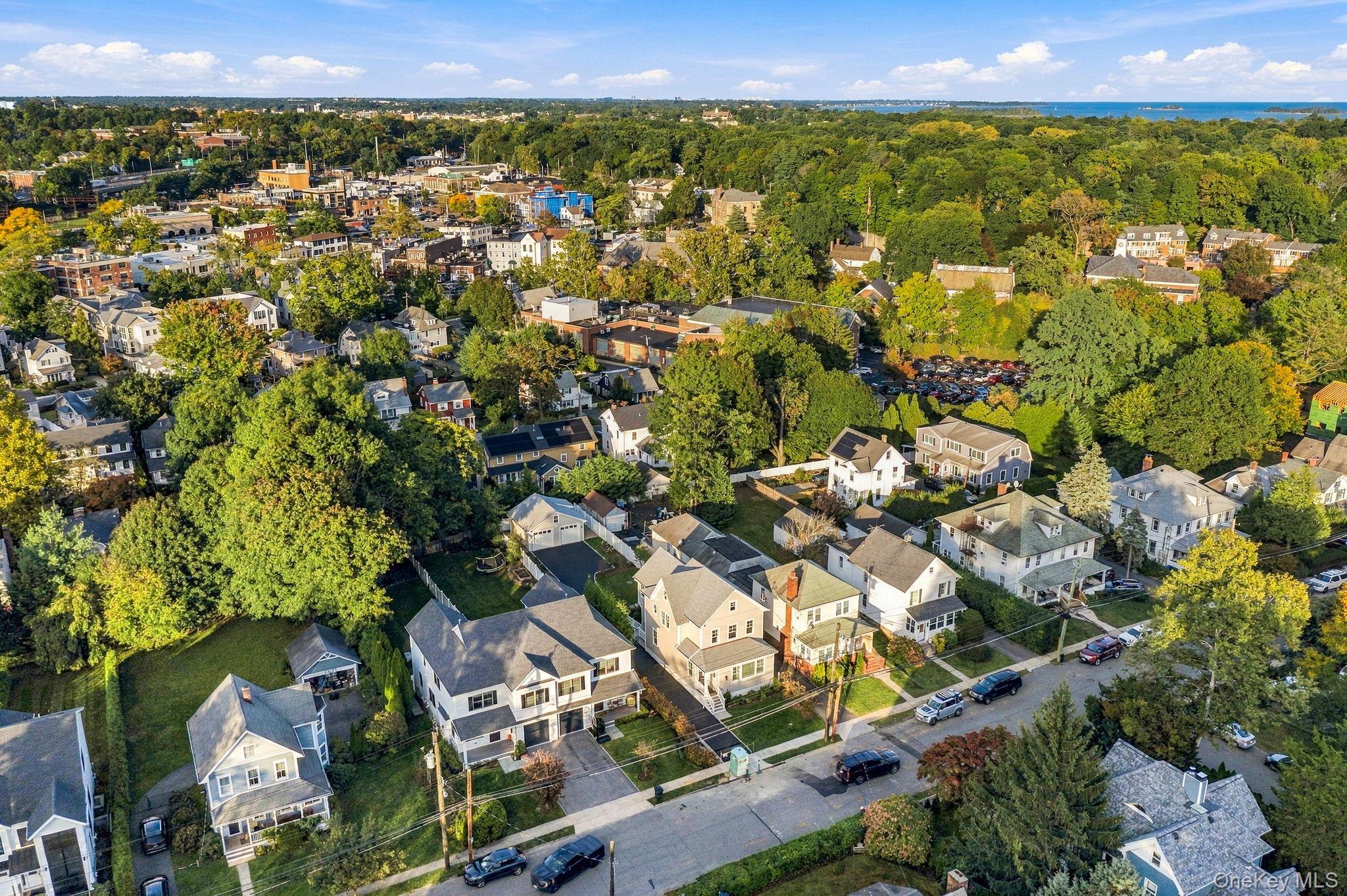Single Family Orchard Avenue Westchester County, NY 10580, MLS-1057152-2