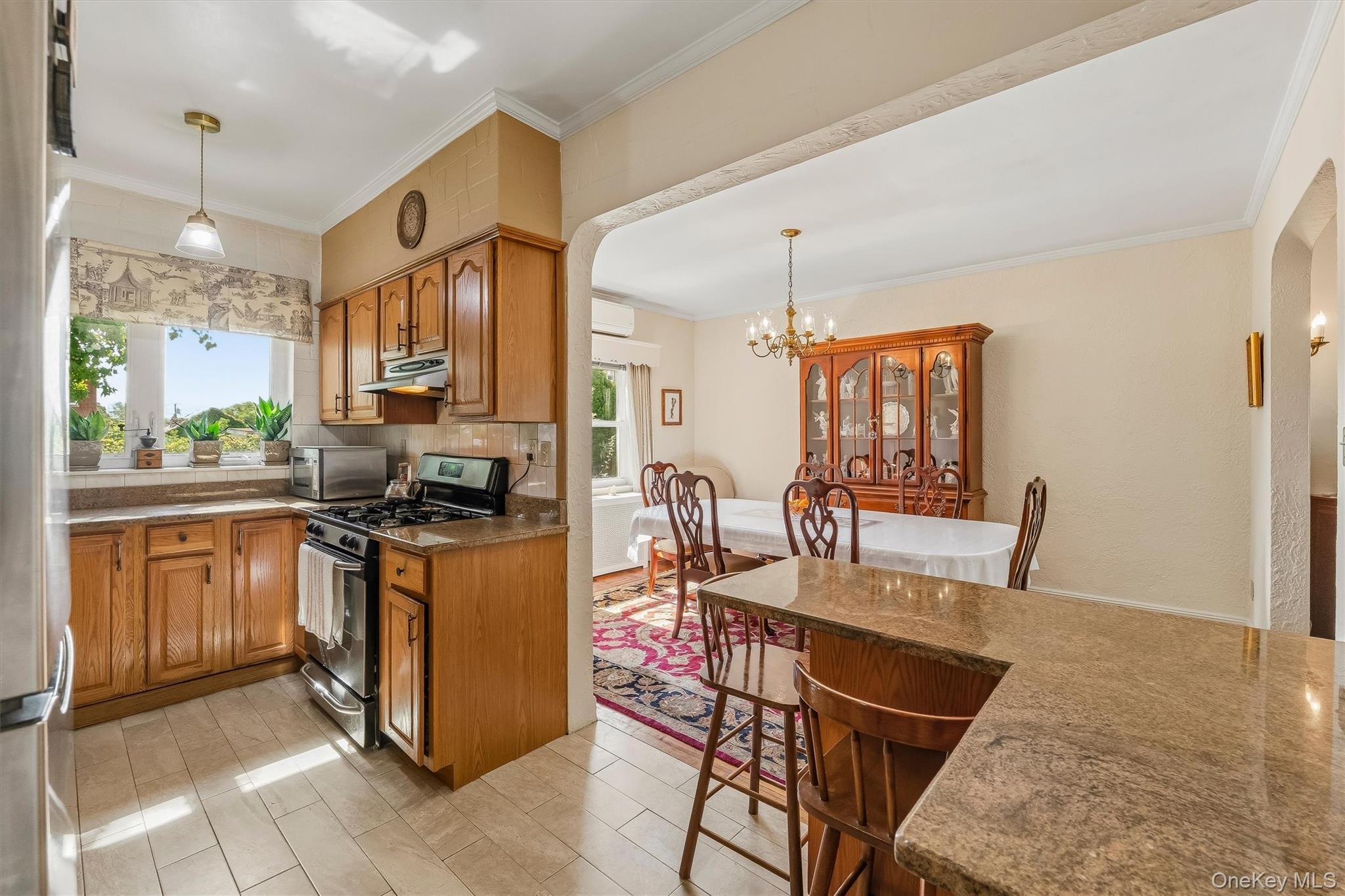 Single Family Mace Avenue Bronx, NY 10469, MLS-1057240-20