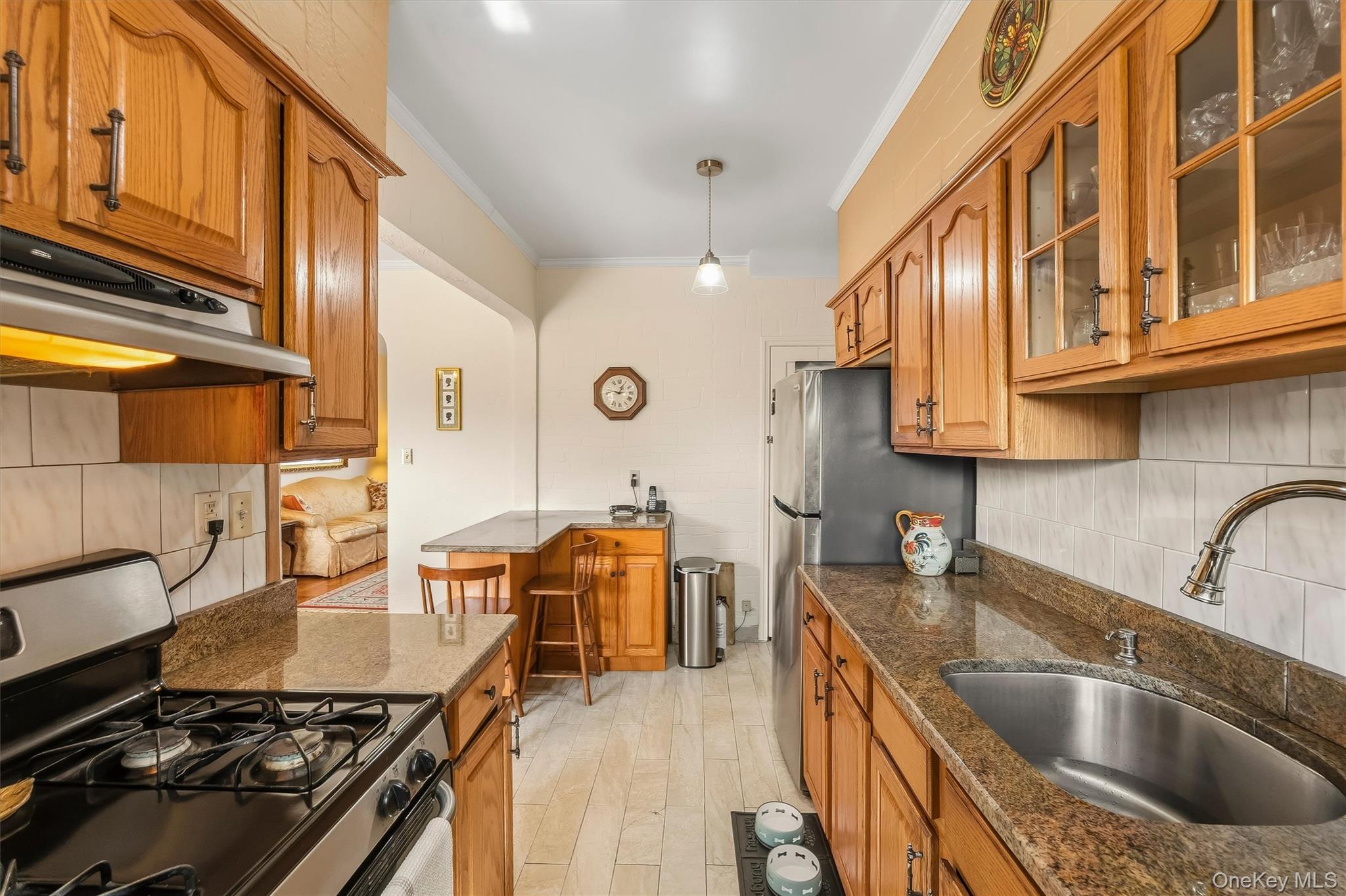 Single Family Mace Avenue Bronx, NY 10469, MLS-1057240-21
