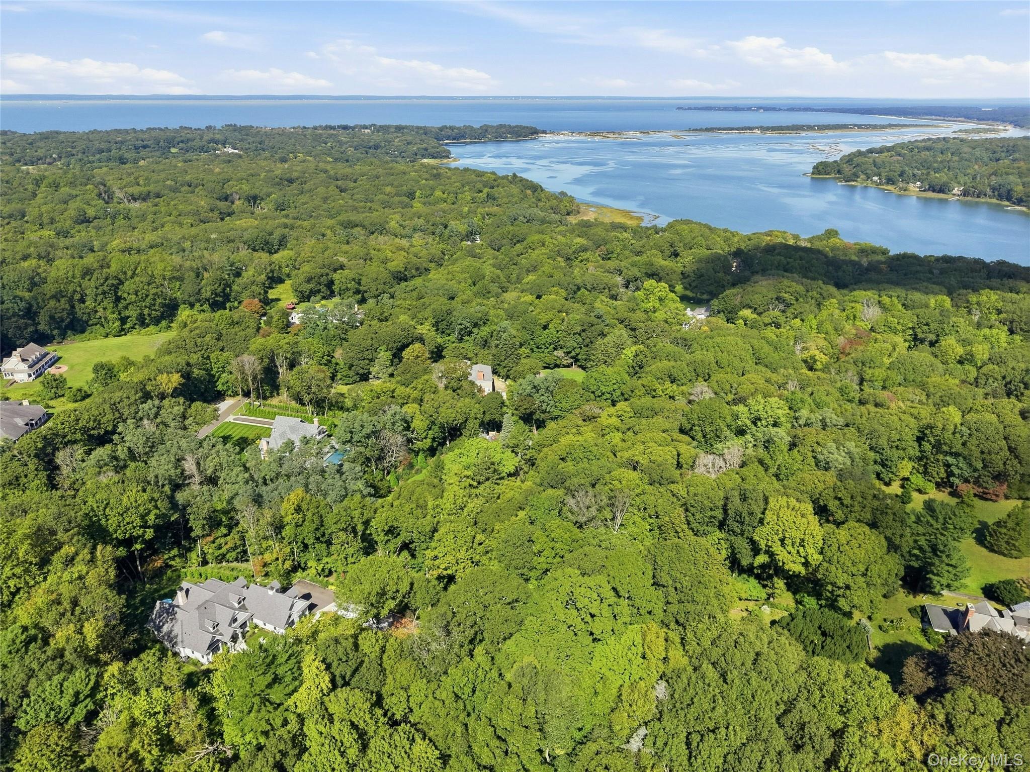 Single Family Moriches Road Suffolk County, NY 11780, MLS-1057363-46