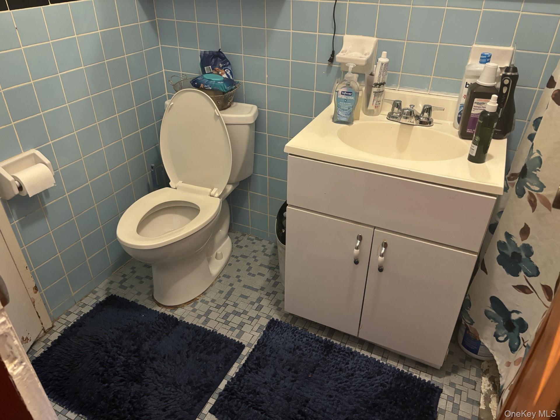 Single Family Logan Street Brooklyn, NY 11208, MLS-1057695-14