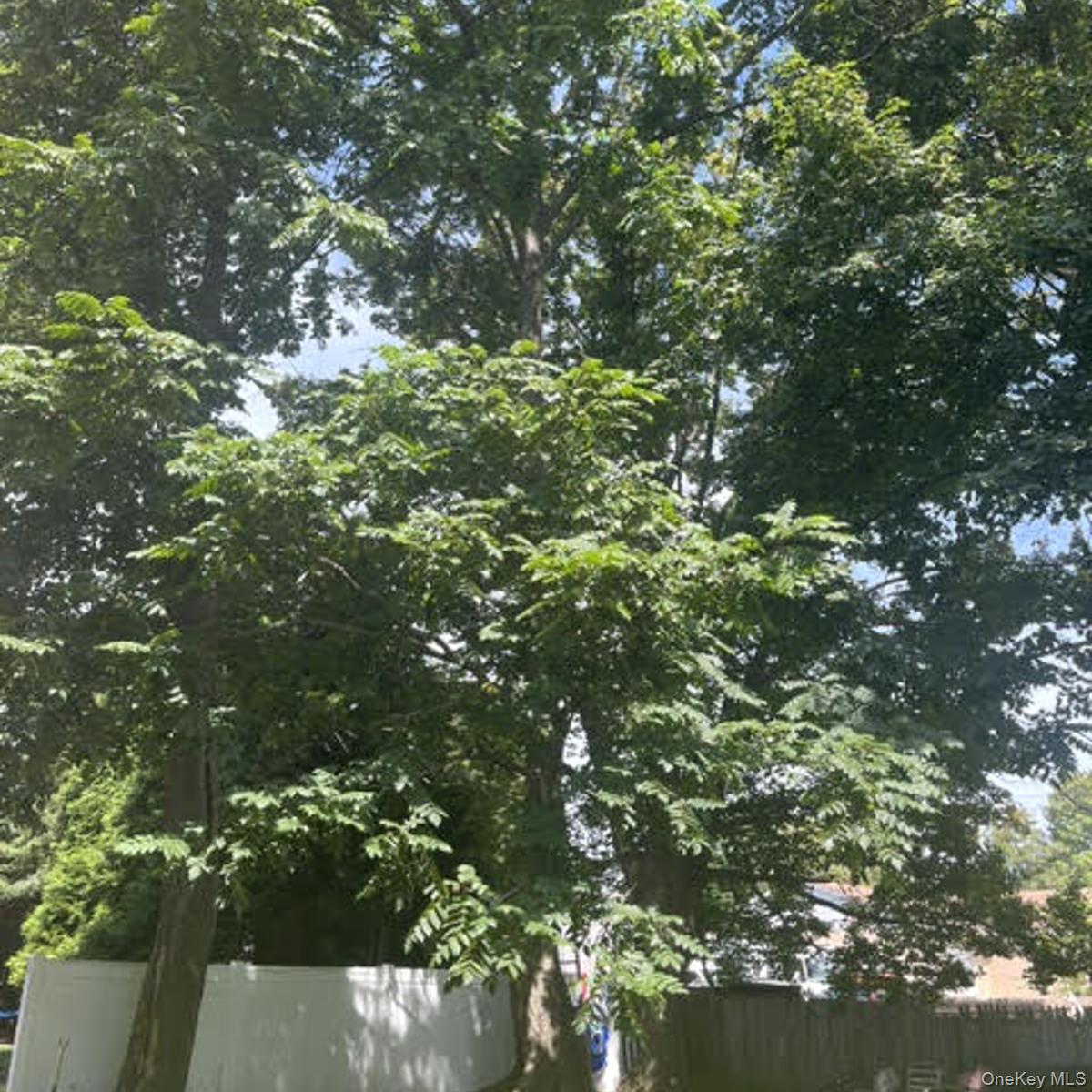 Single Family Ball Street  Orange County, NY 12771, MLS-1057807-19