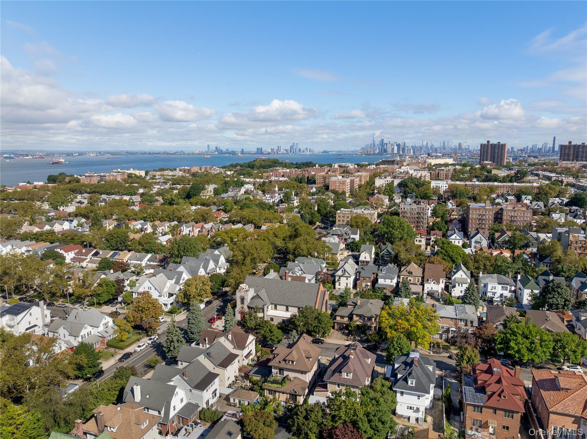 Single Family 80th Street Brooklyn, NY 11209, MLS-1057849-33